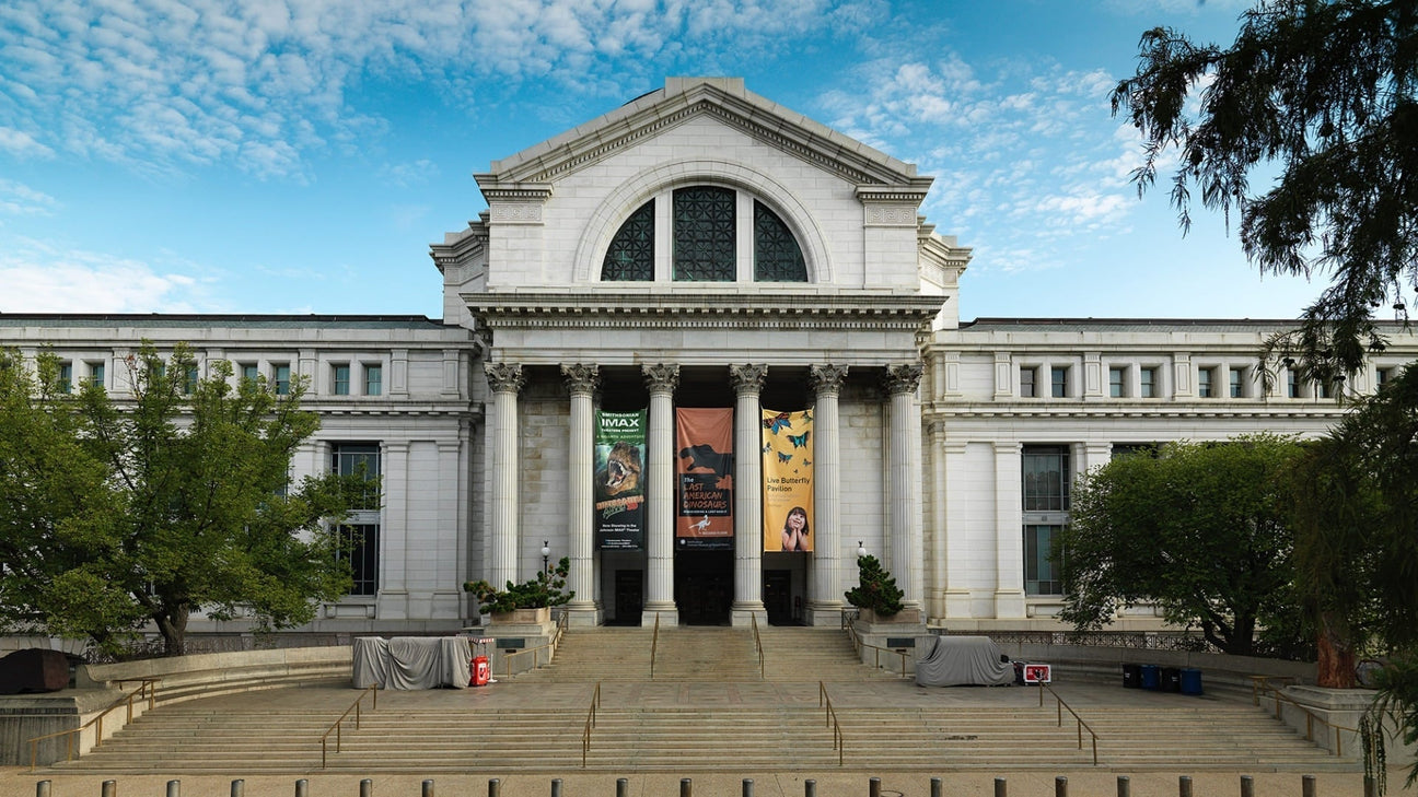 Museums Around North America and Europe You Need to Visit If You Love Gemology