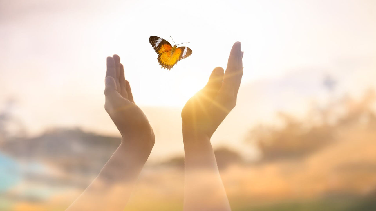 What Is the Butterfly Effect? (And Why Everyone's Talking About It Right Now)
