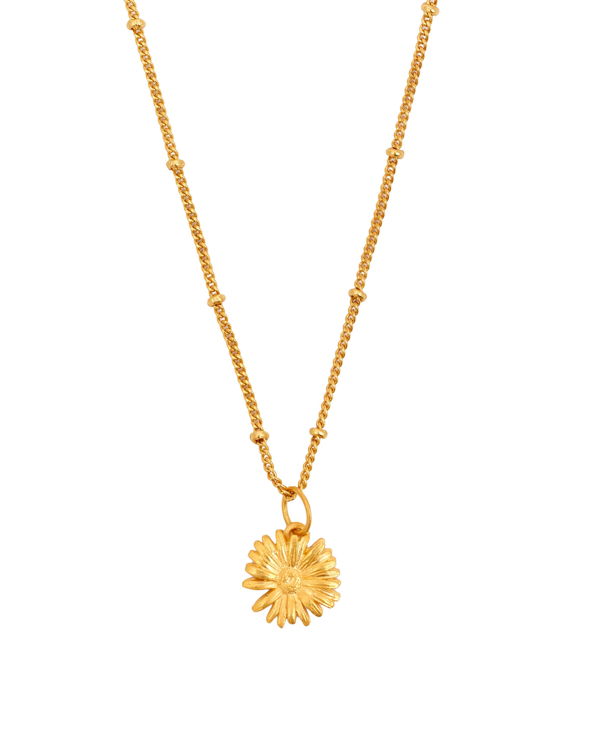 Amazonia Daisy Charm + Chain