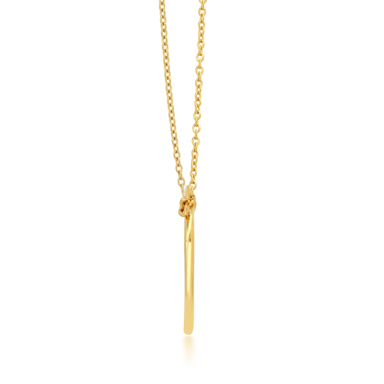 18K Yellow Gold Over Sterling Silver Vermeil Circle Eternity Necklace