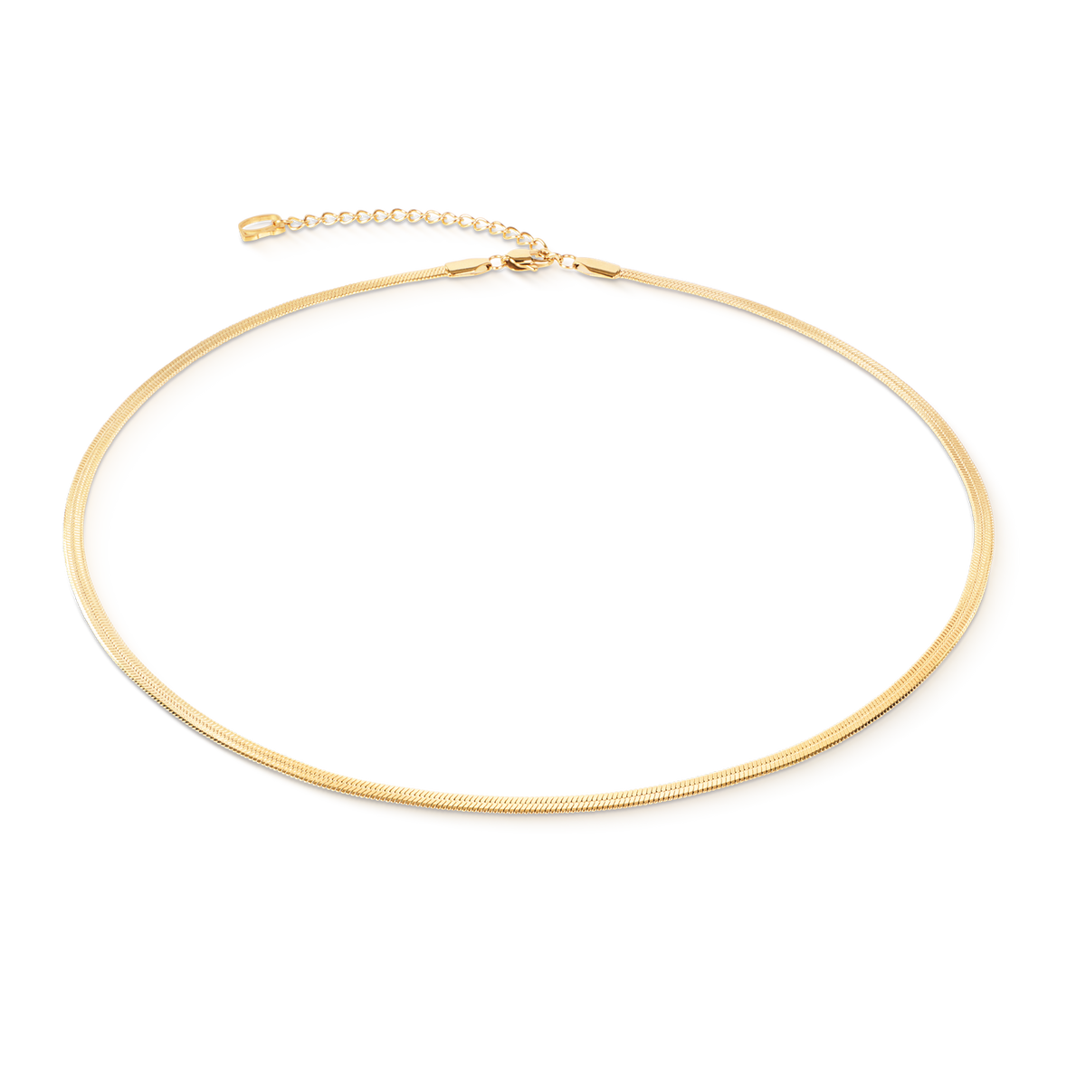 Flat Snake Chain Necklace Gold