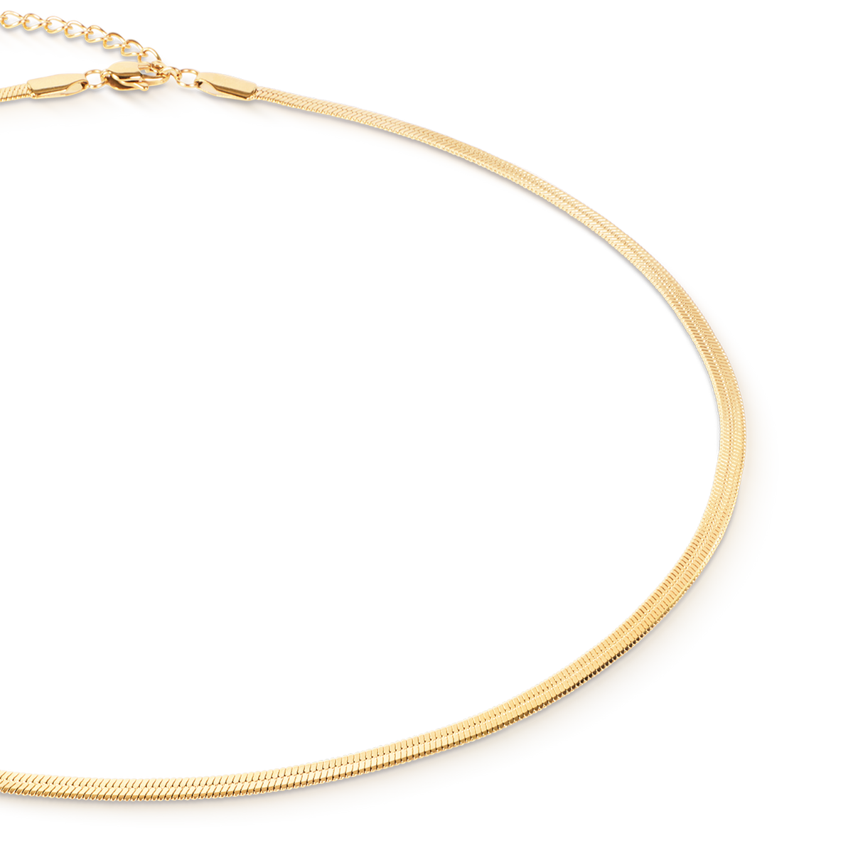 Flat Snake Chain Necklace Gold