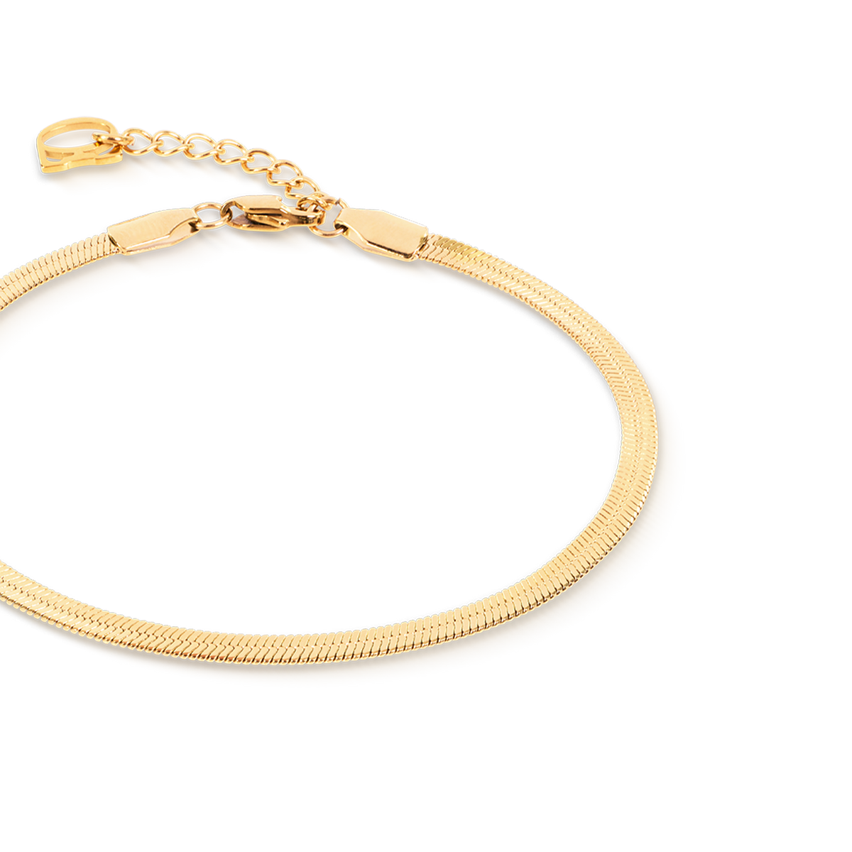 Flat Snake Chain Bracelet Gold