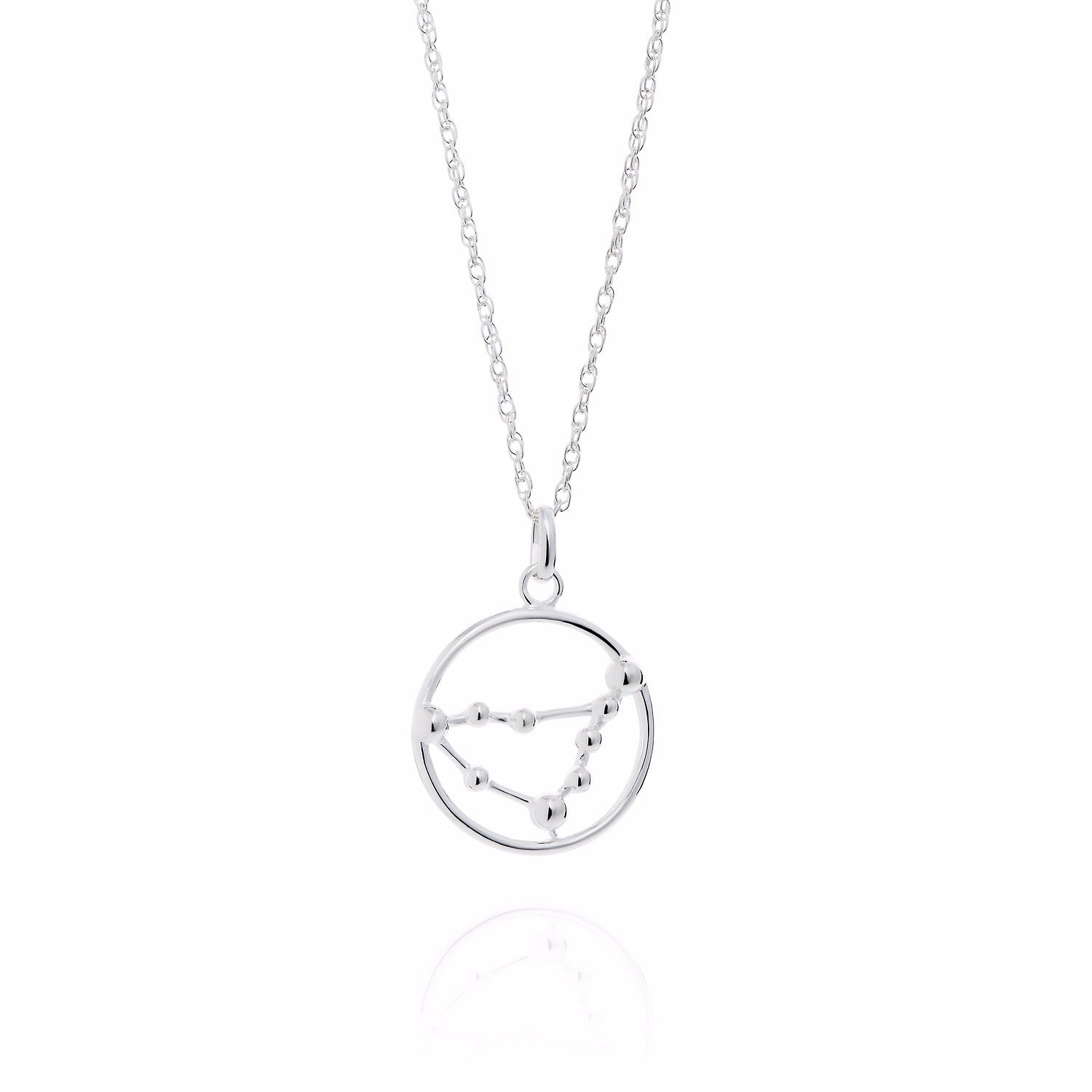 Capricorn Astrology Necklace