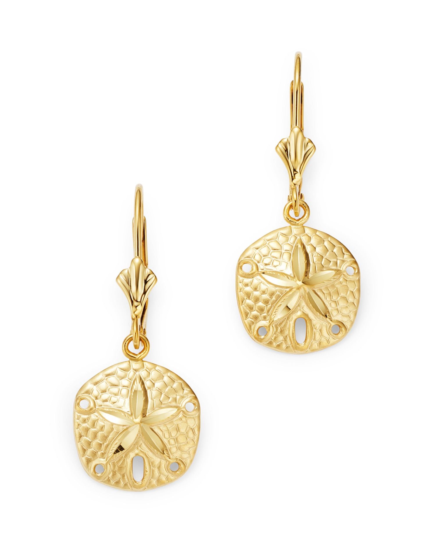 Sand Dollar Drop Earrings in 14K Yellow Gold - Exclusive