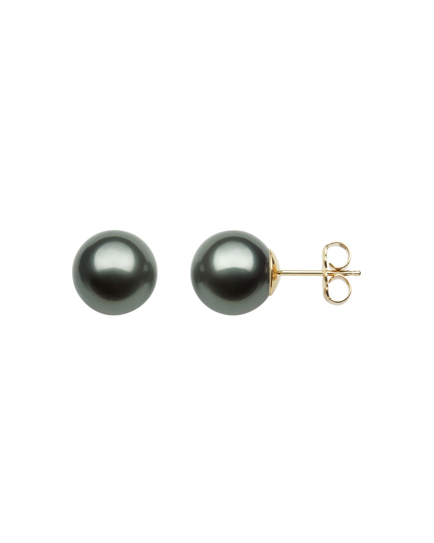 Tahitian Black Cultured Pearl Stud Earrings in 14K Yellow Gold - Exclusive