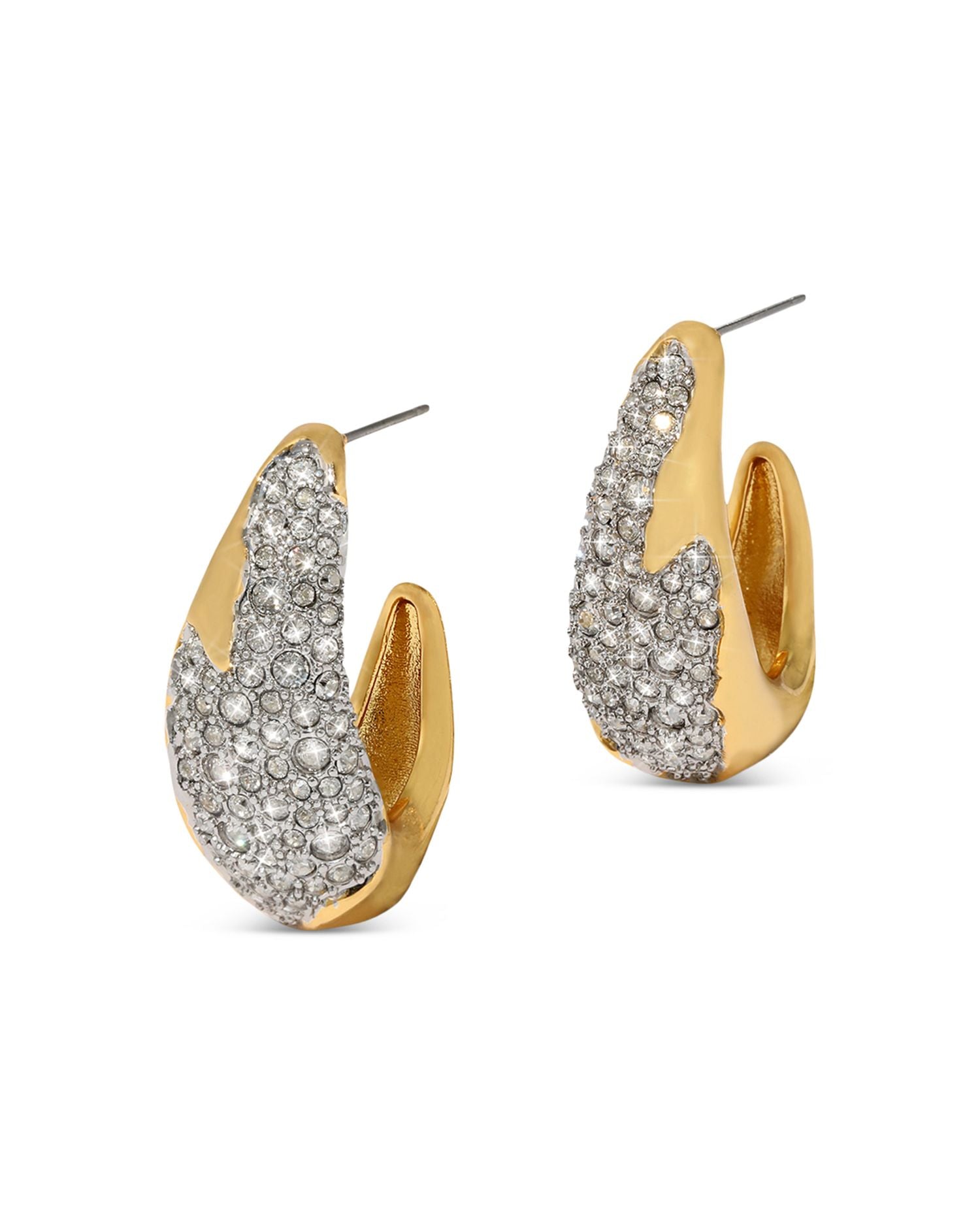 Solanales Crystal Hoop Earrings