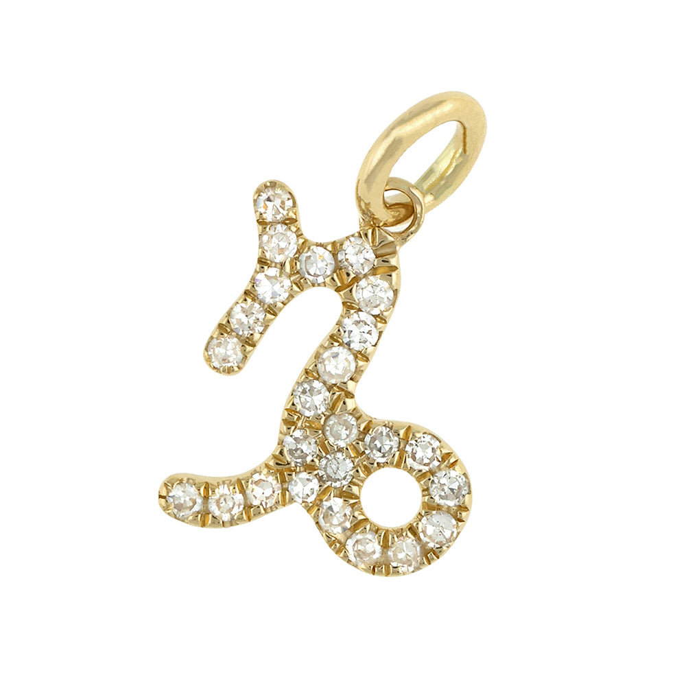 Gold Diamond Zodiac Charm