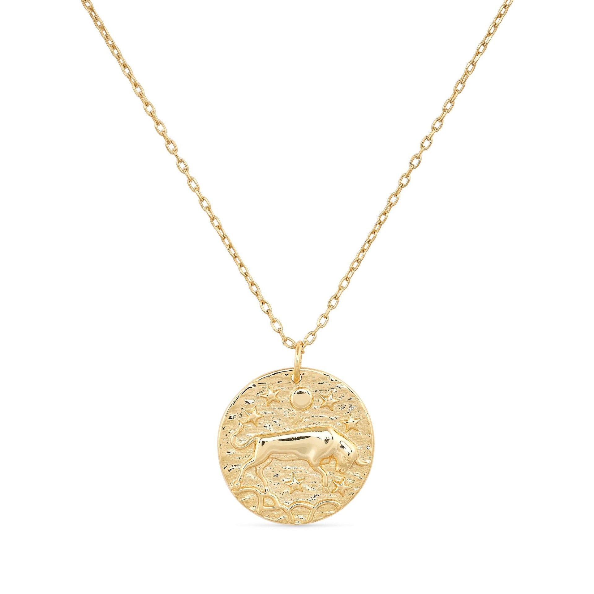 Gold Bull Coin Necklace