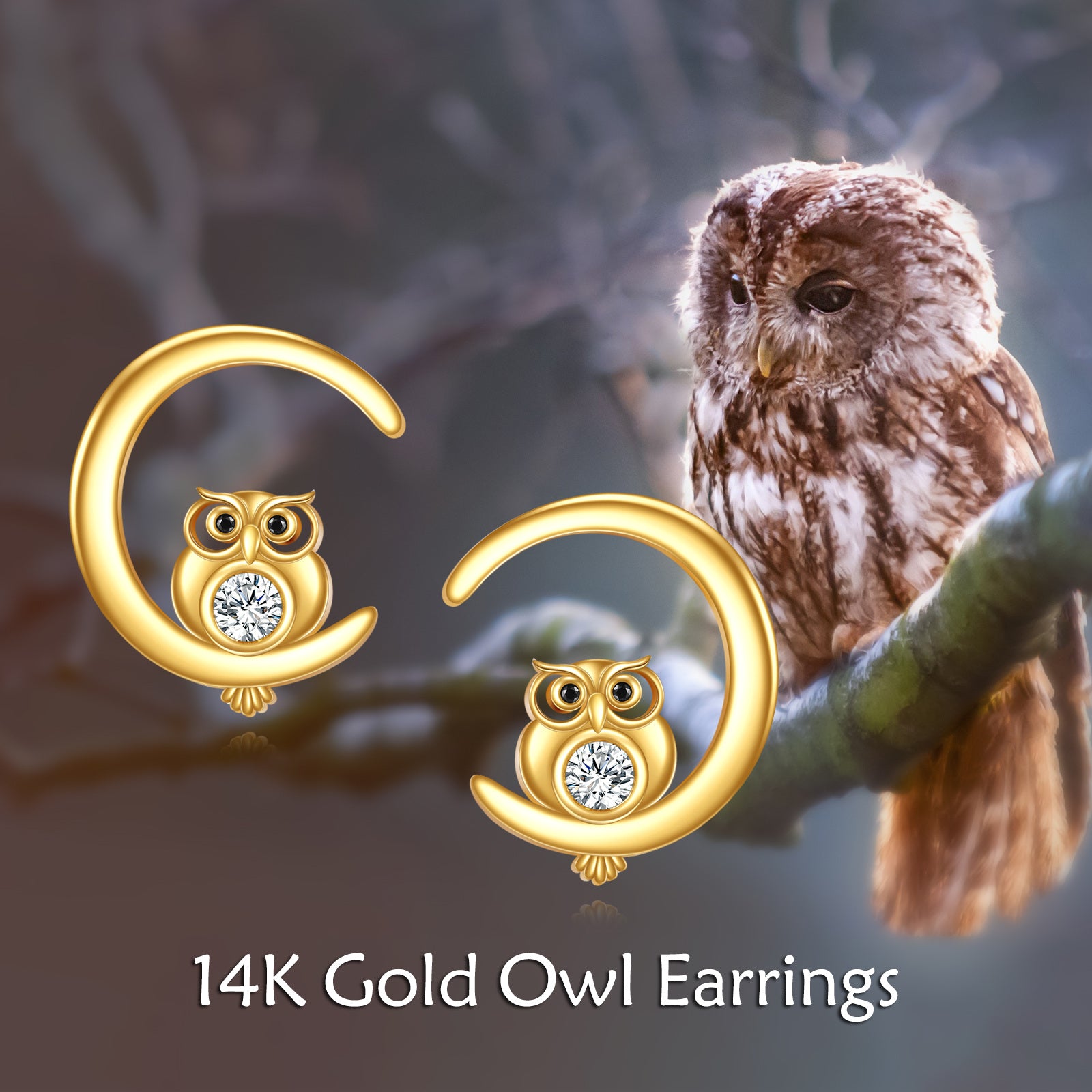 14K Gold Cubic Zirconia Owl Stud Earrings