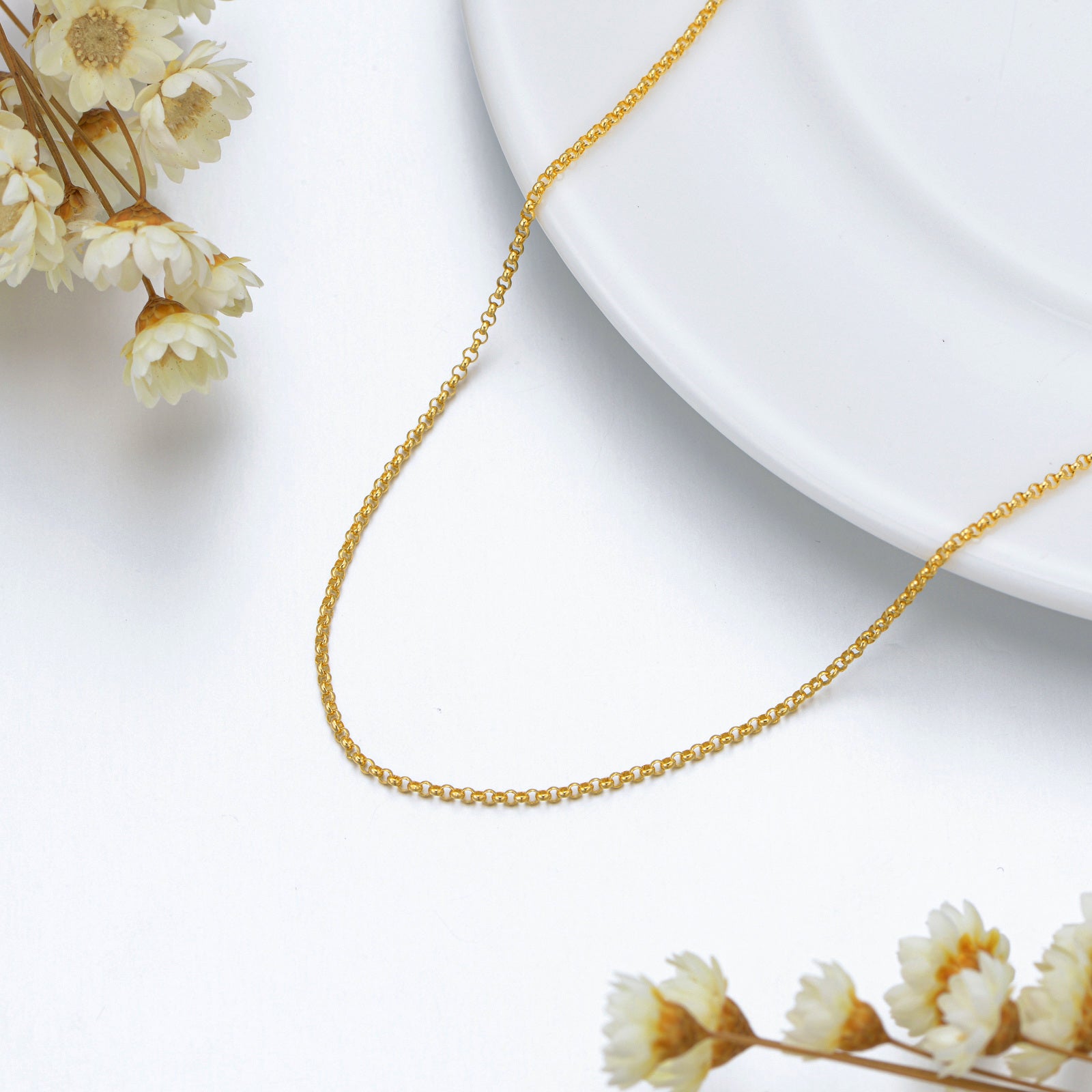 14K Gold Rolo Chain Necklace