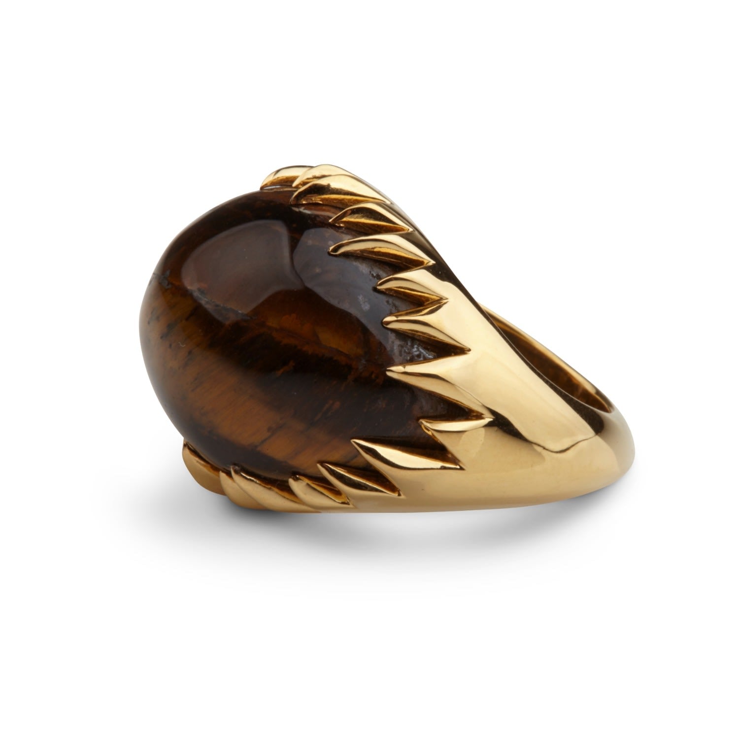 Eye Of Poseidon Ring Gold & Tigers Eye