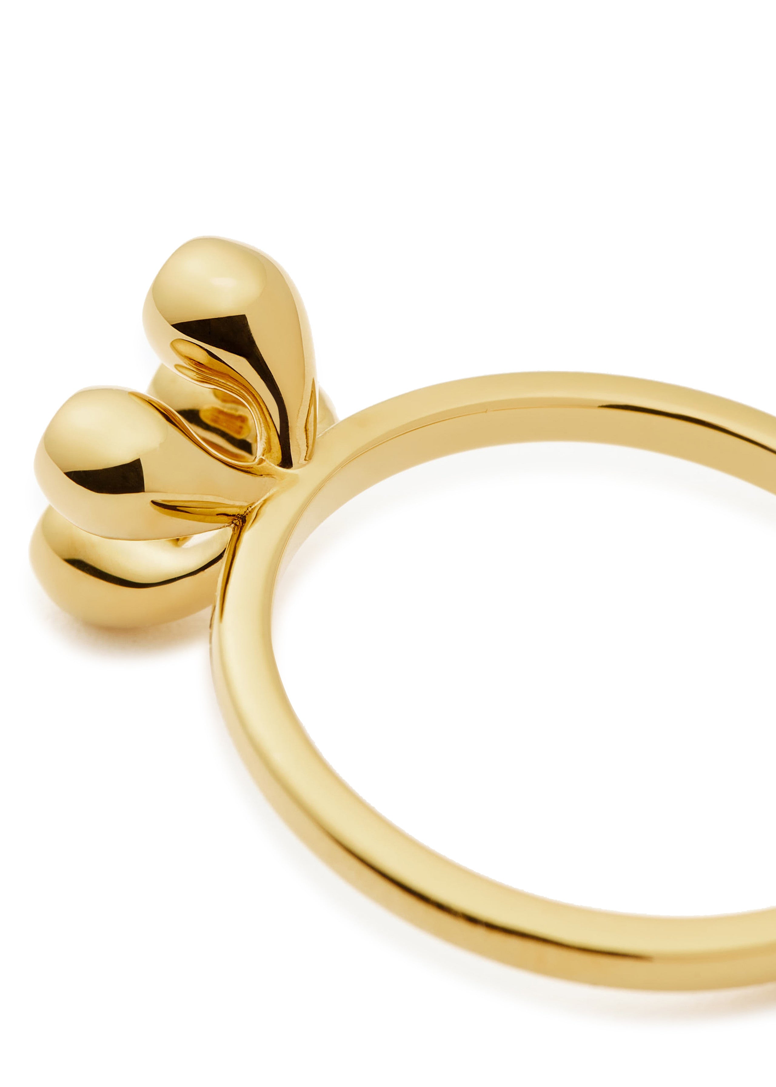 アクセサリー blanciris Etoile collection Vermeil Ring Fashion】リング紹介「etoile」 BLANC IRIS｜mick