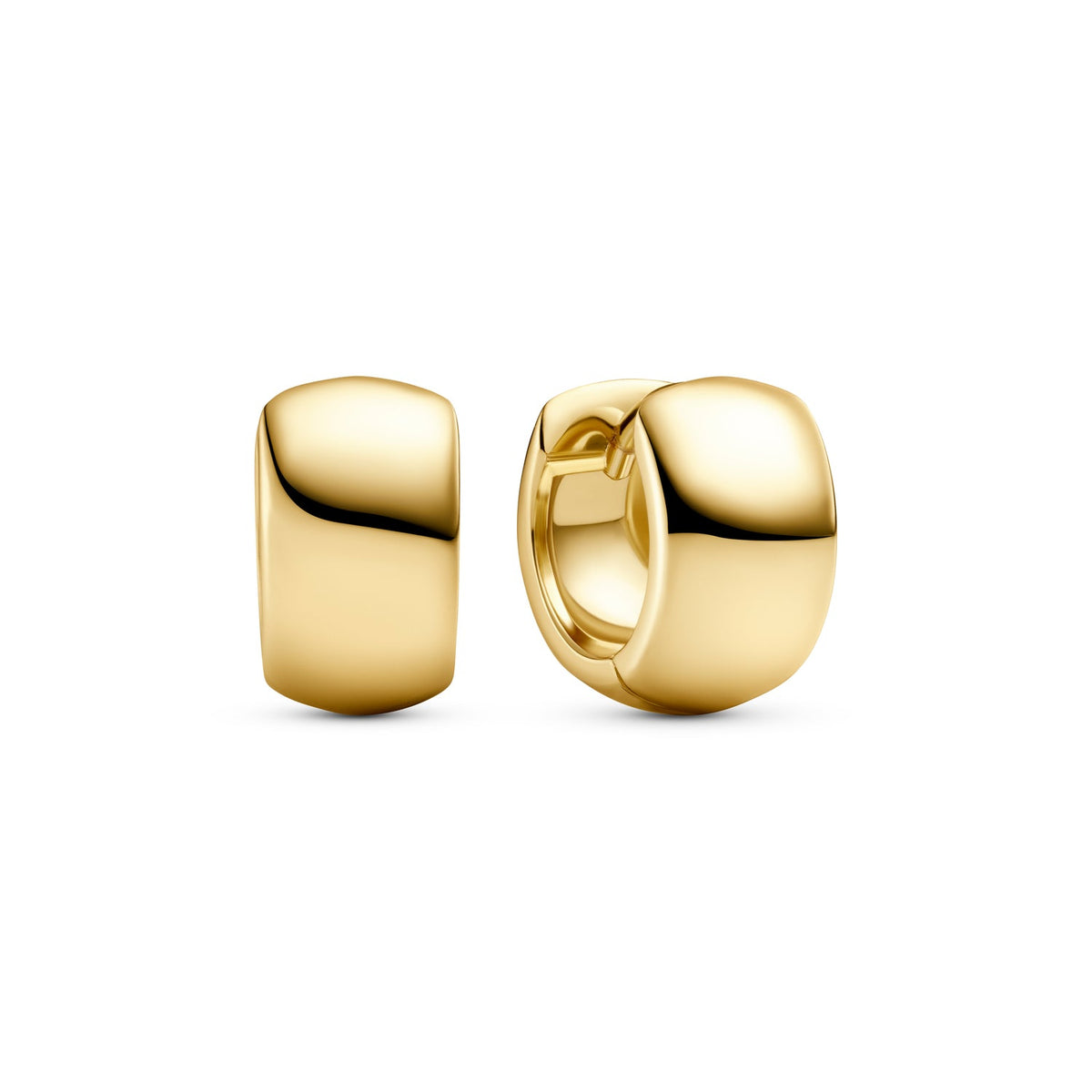 Earrings Largo