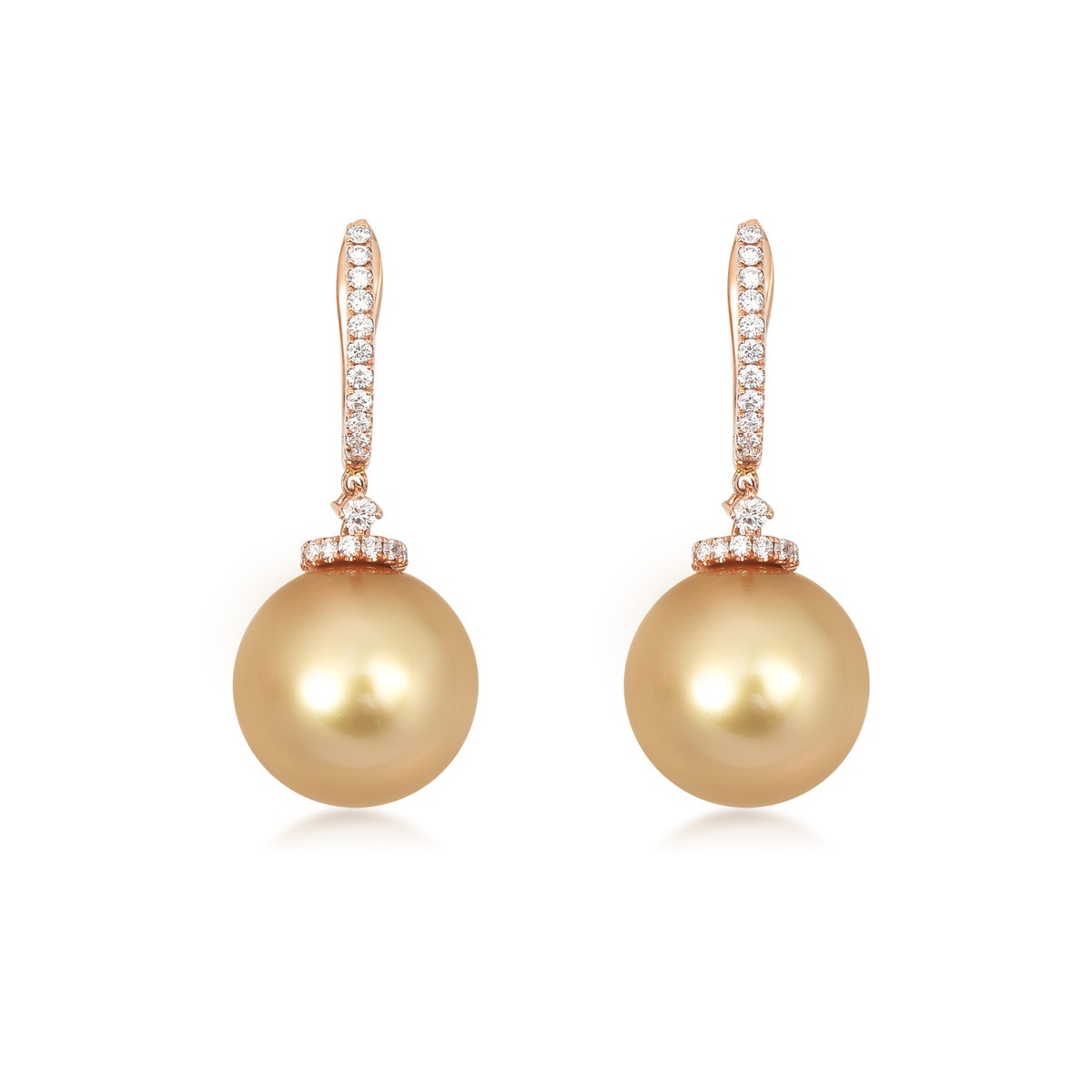 18K Red Gold Golden South Sea Cultured Pearl Earrings -  - Aureus Boutique