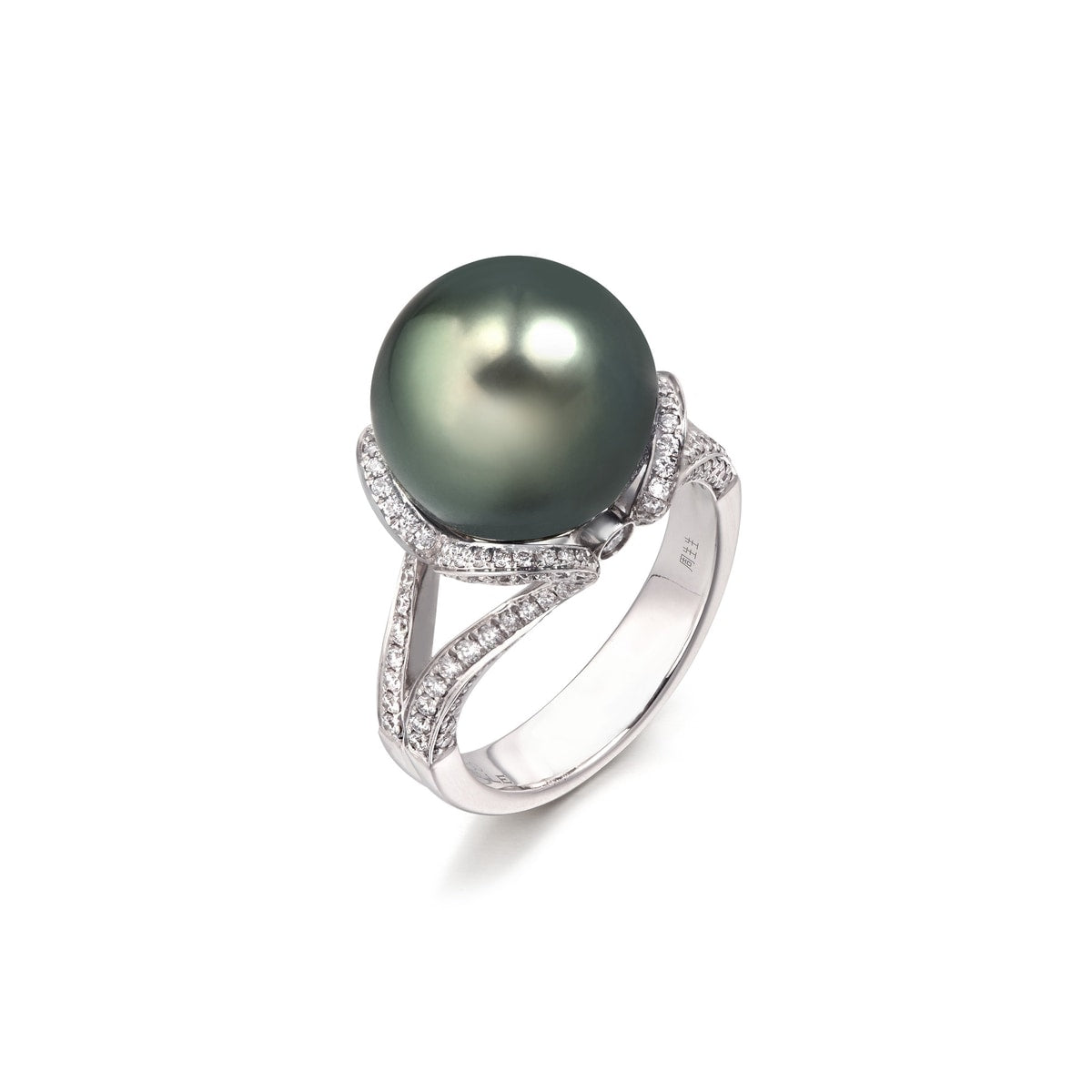 18K White Gold Tahitian Black Cultured Pearl Ring -  - Aureus Boutique