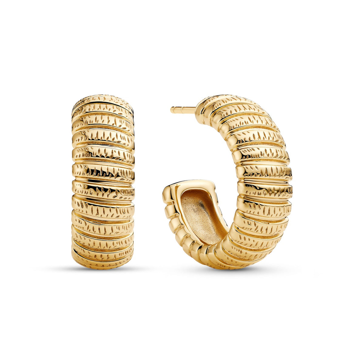 Earrings Riva