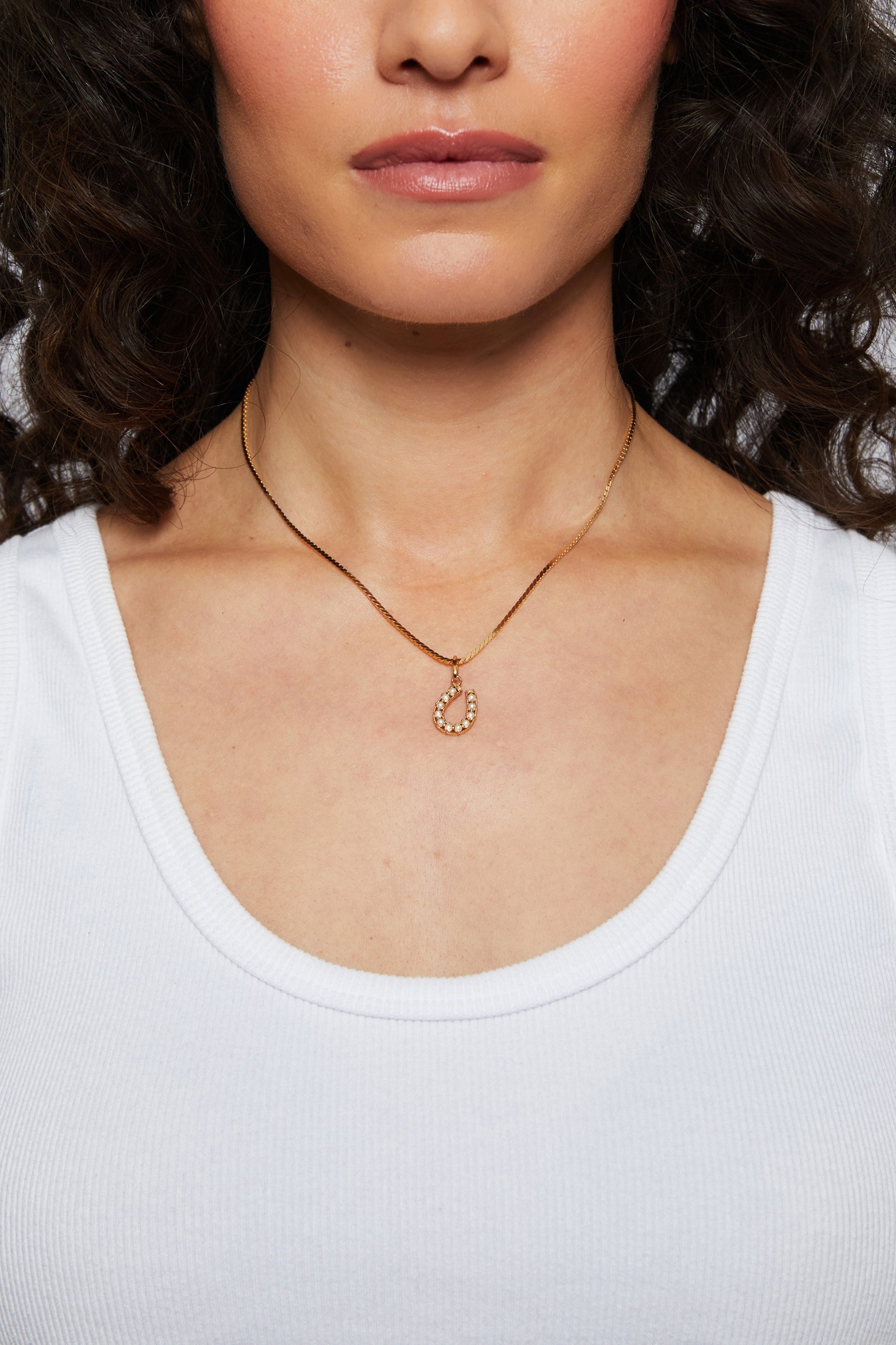 Horseshoe Necklace Charm