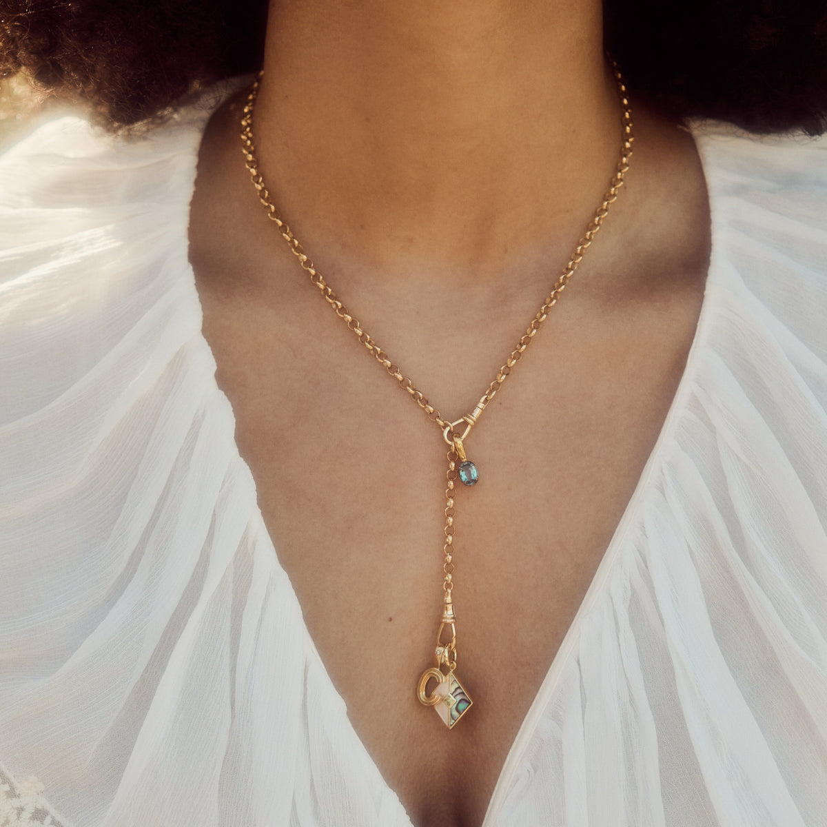 Albert Dog Clip Extender Chain