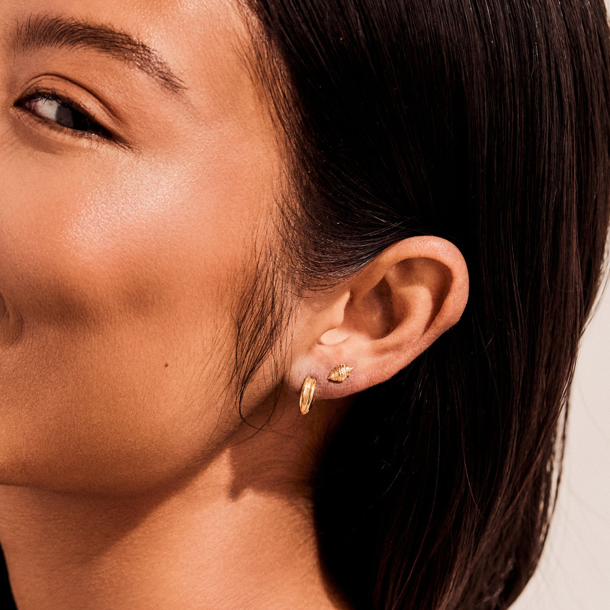Conch Shell Studs Earrings