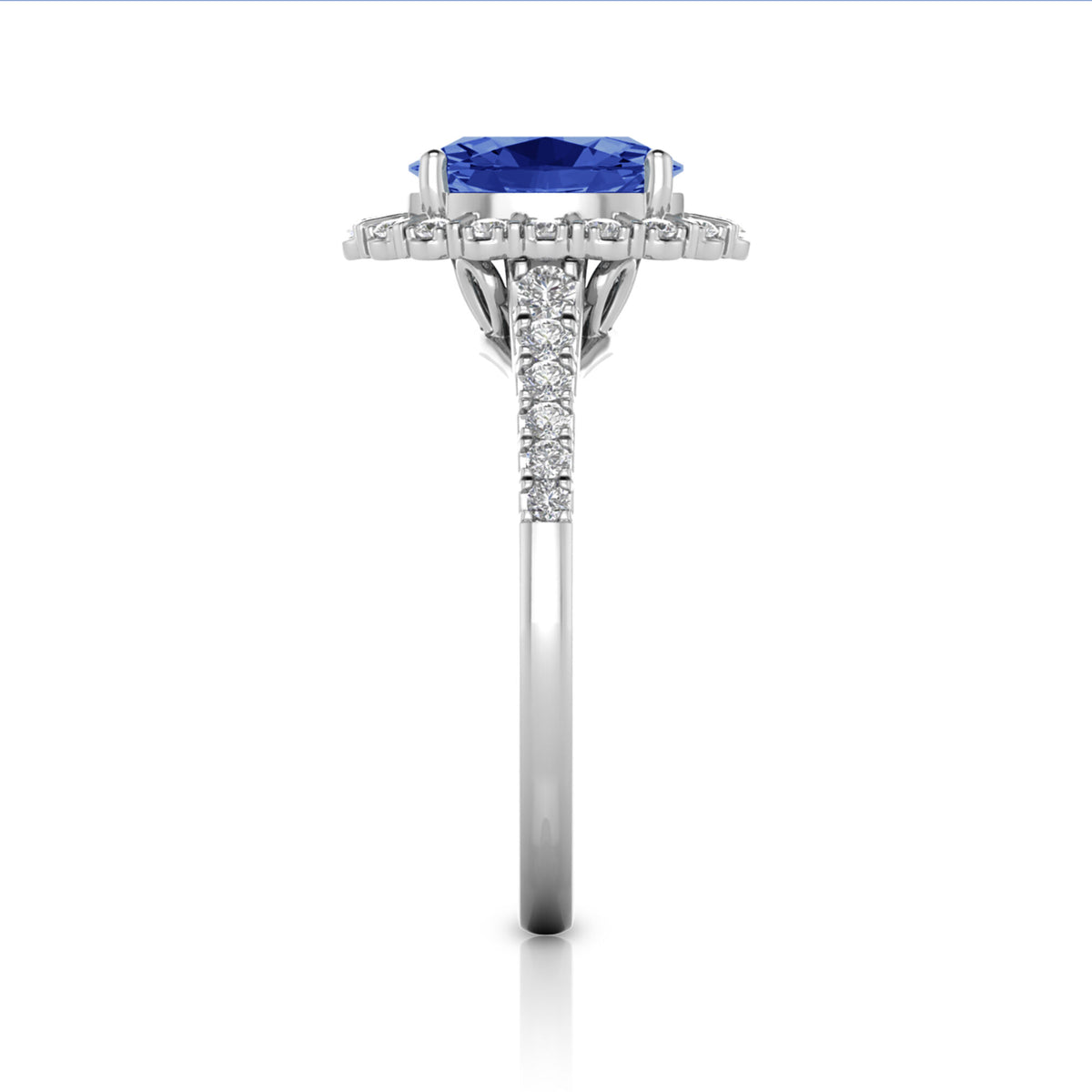 Tanzanite & Diamond Halo Ring in 14K White Gold (1/3 ct. tw.)