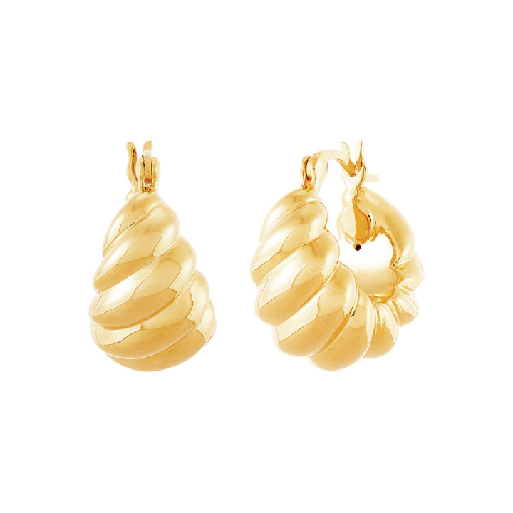 Shrimp Hoop Earrings in 14K Yellow Gold