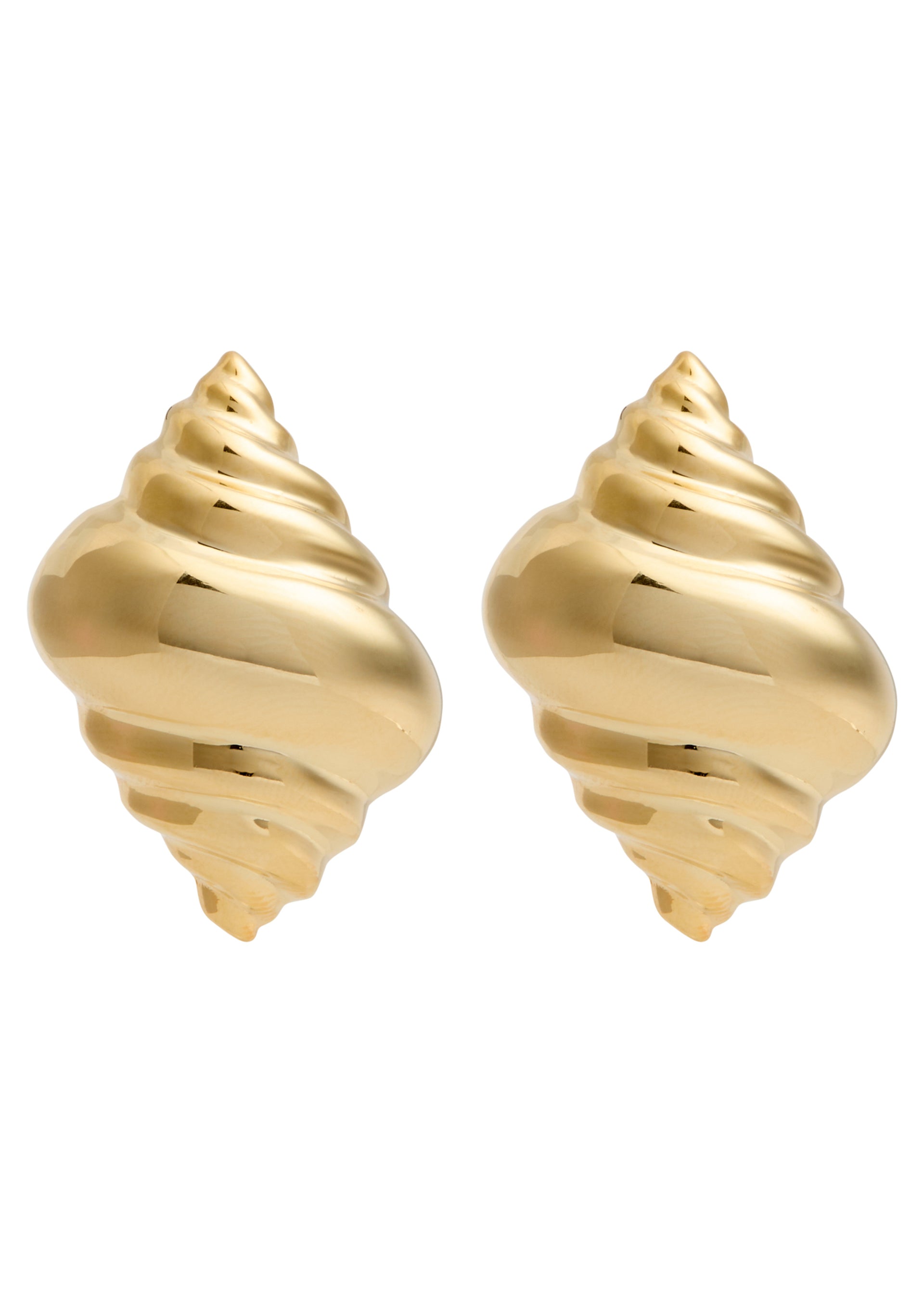Shell stud earrings
