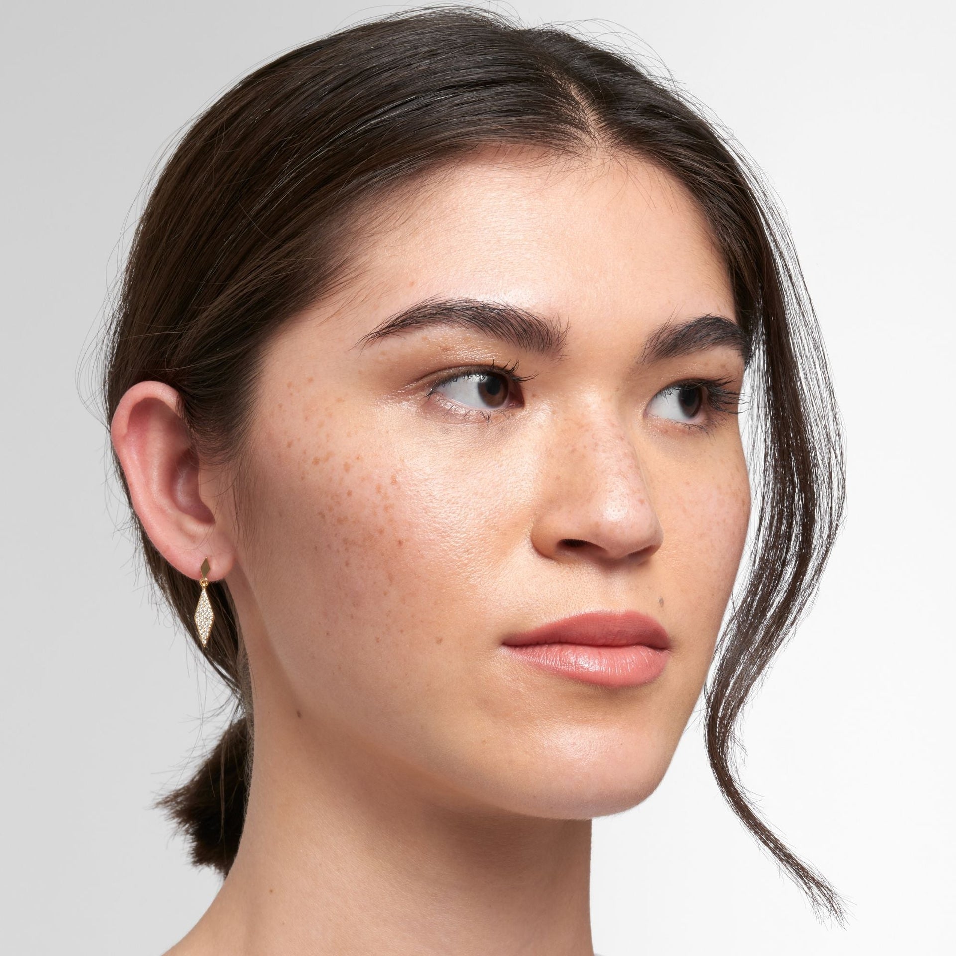 14k Gold Plated Diamond Drop Earrings