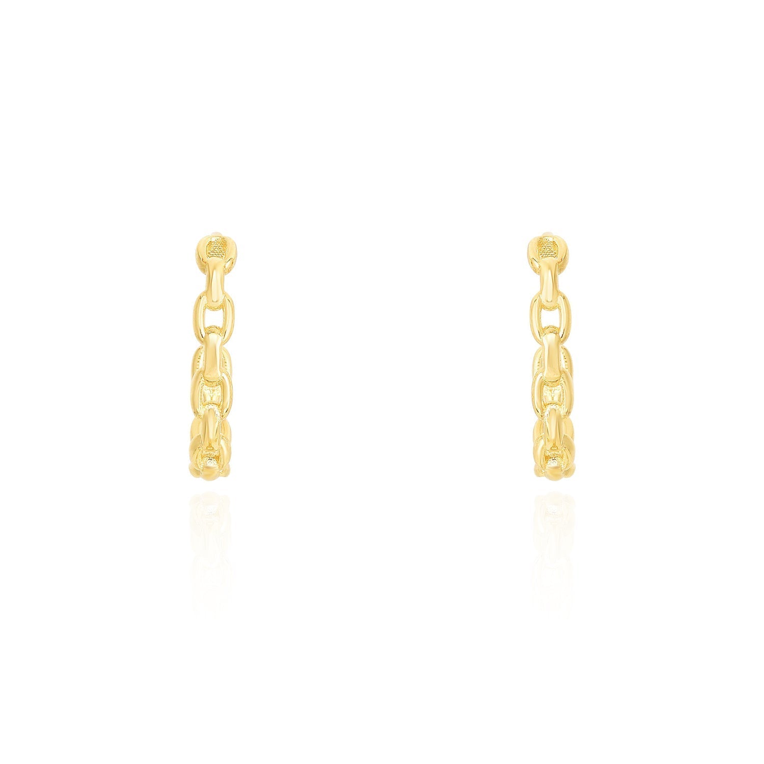 Oval Link Hoop Earrings