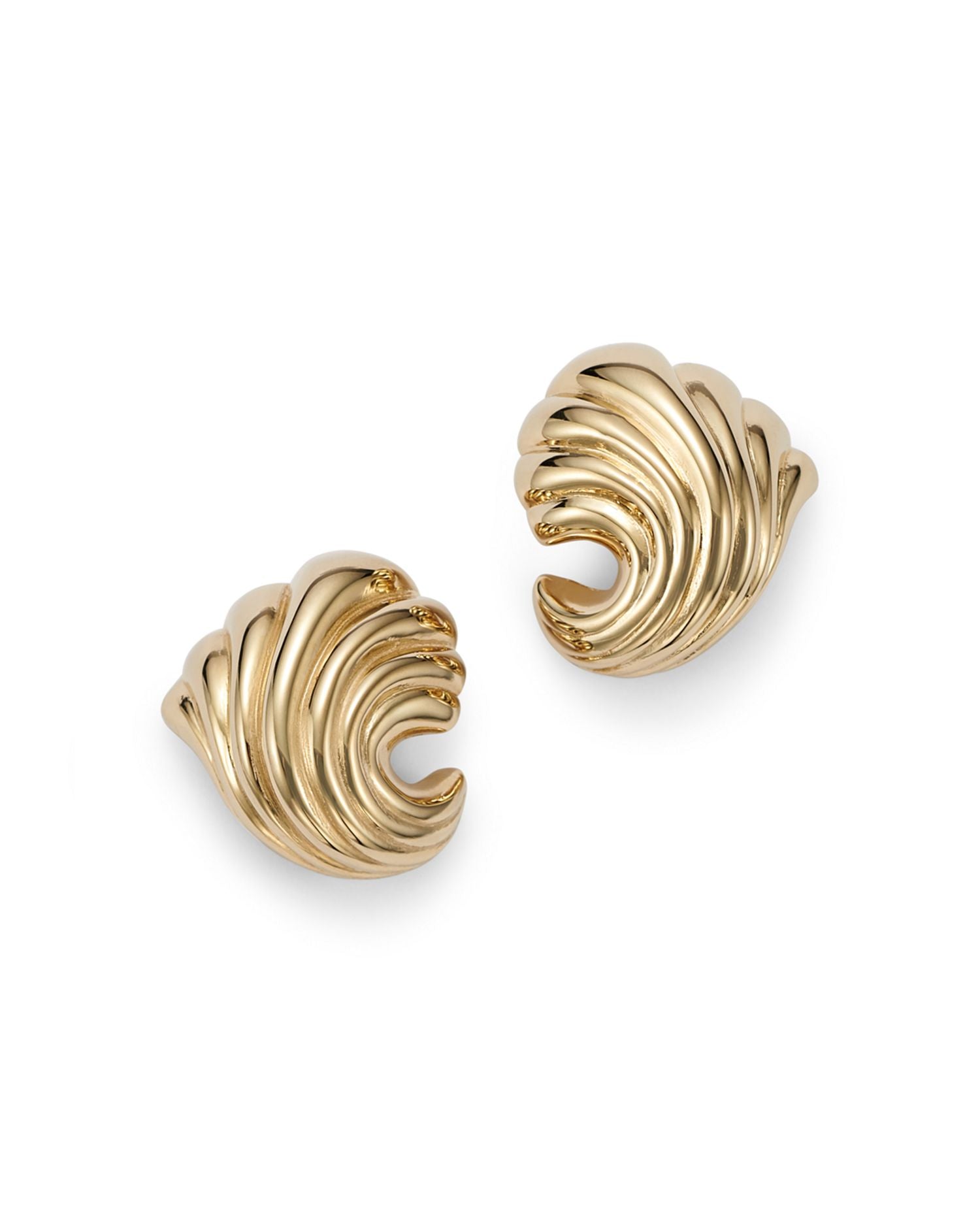 Small Shell Earrings in 14K Yellow Gold - Exclusive