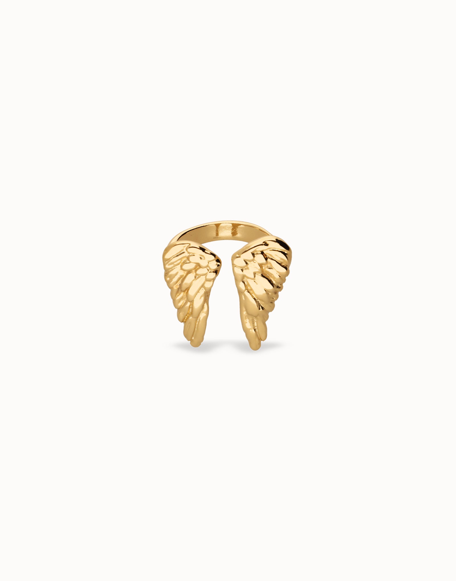 Ring with wing design