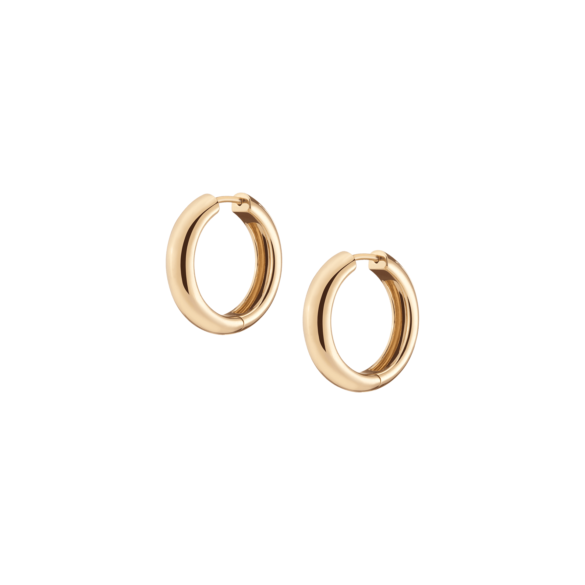 Medium Chunky Hinged Hoop Earrings