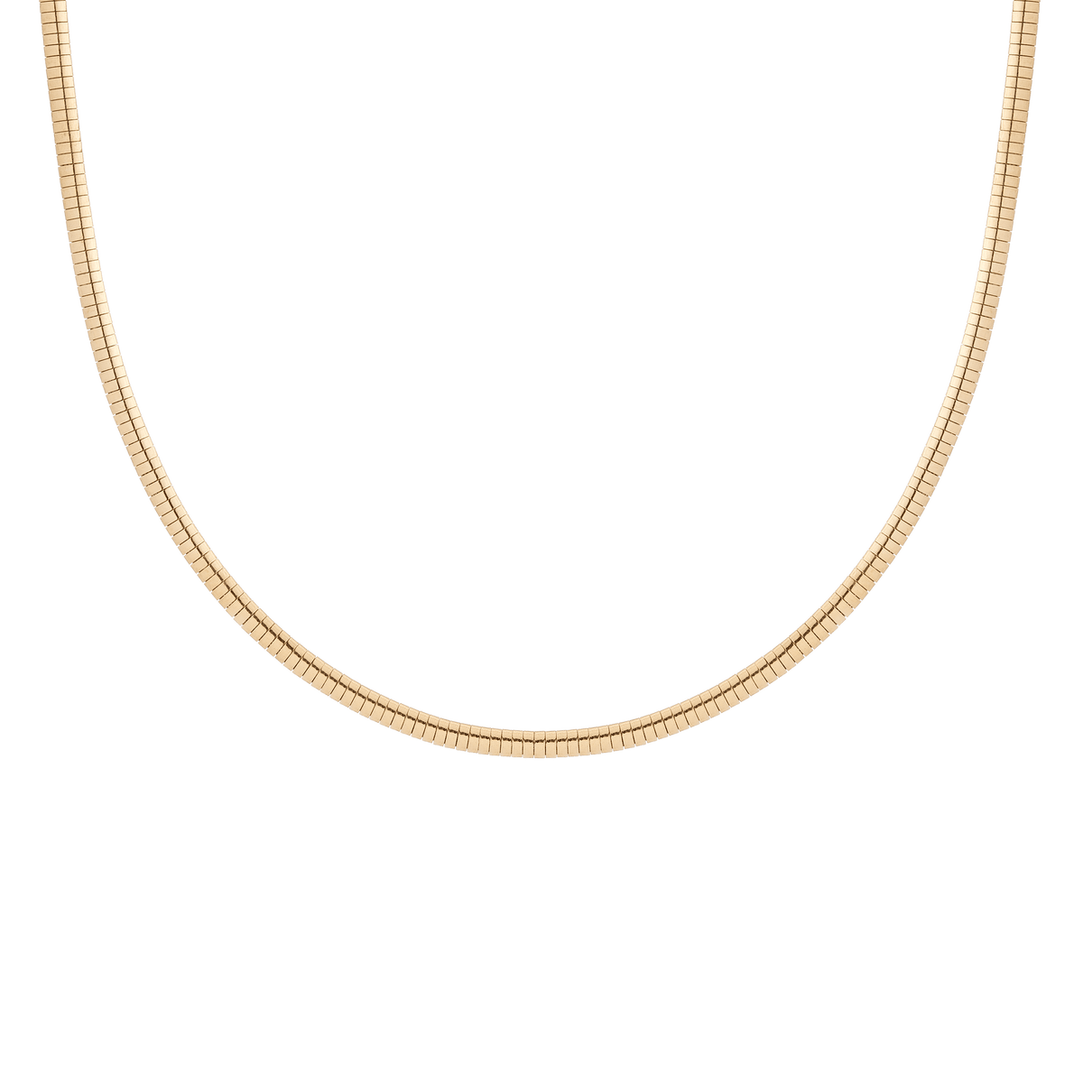 Omega Chain Necklace