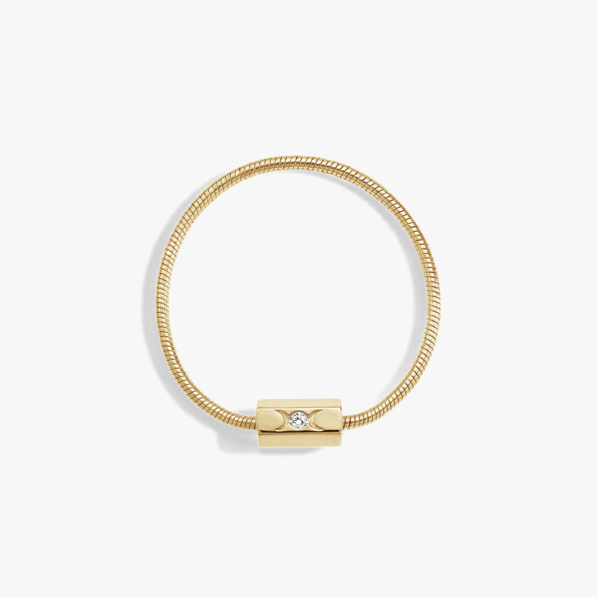 Snake Chain Collector Bracelet
