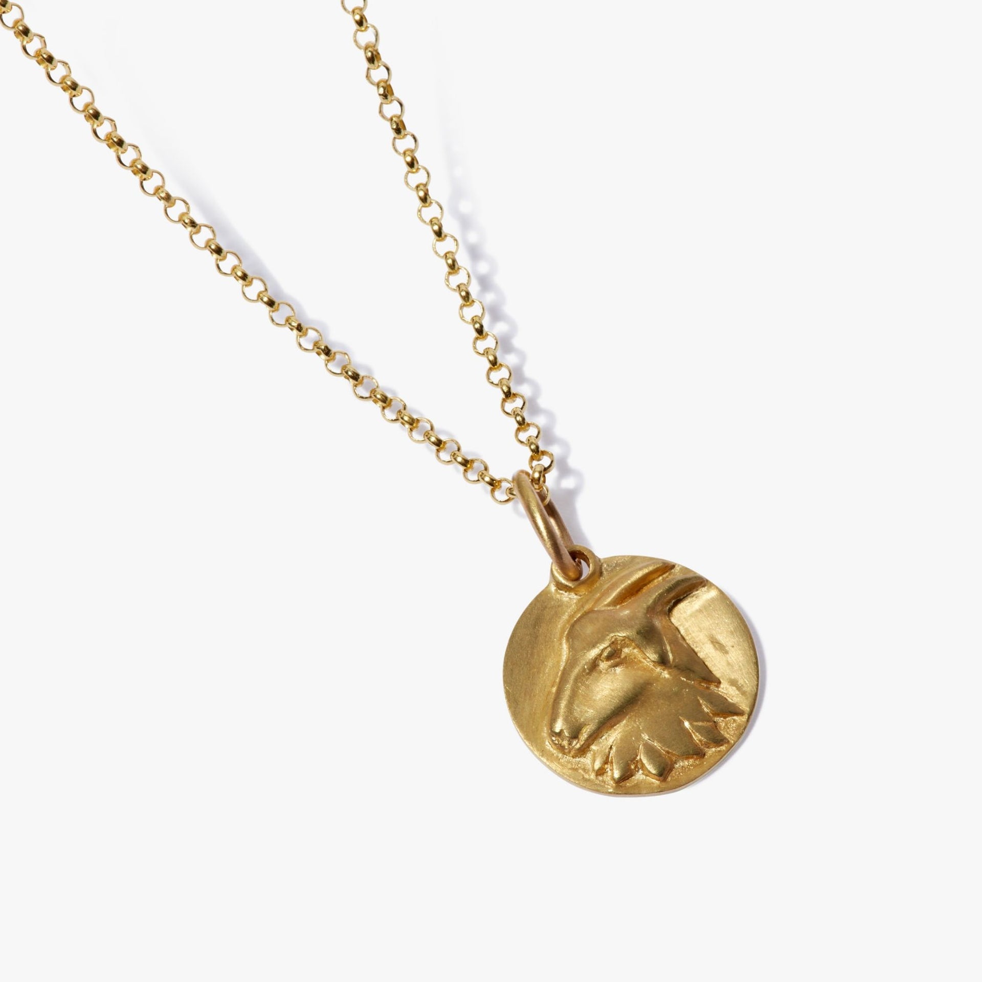 Zodiac Capricorn Necklace