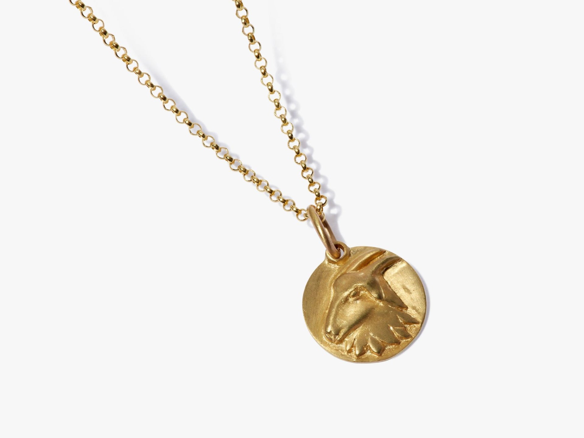 Zodiac Capricorn Necklace