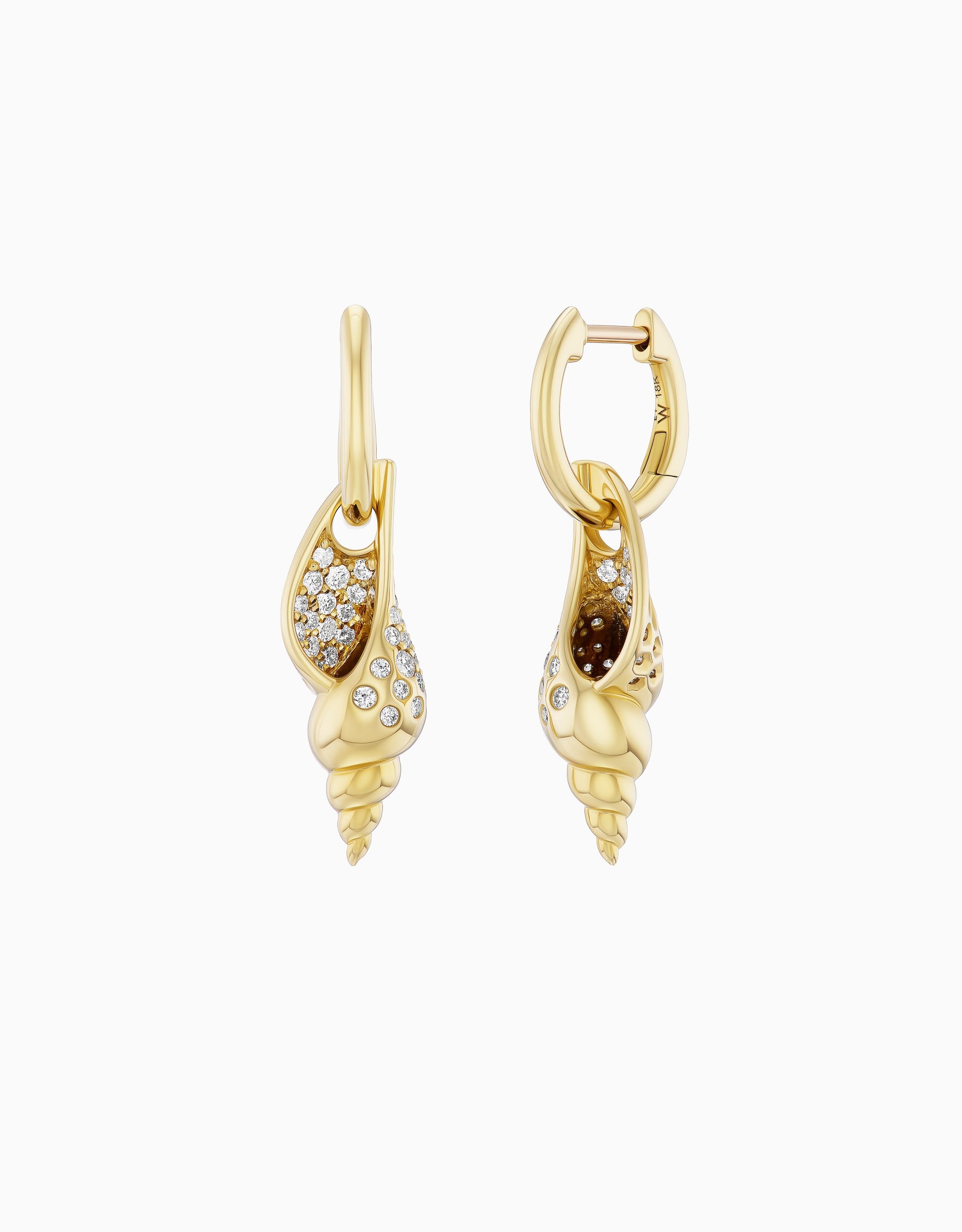Shell Drop Earring