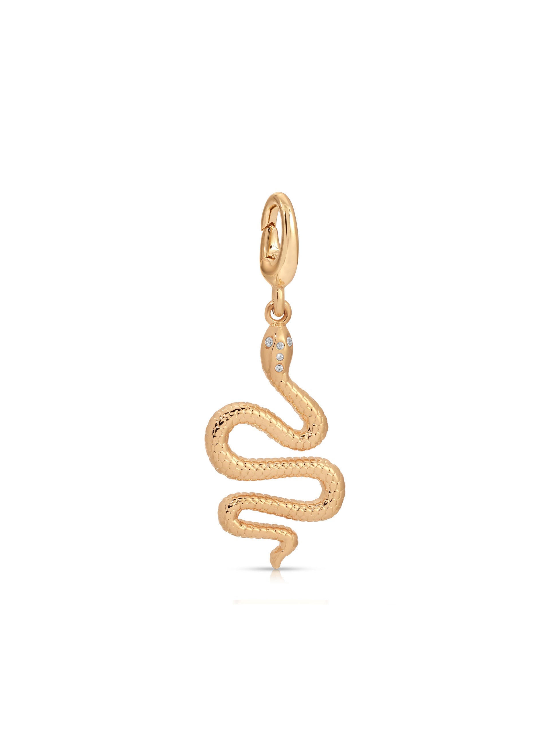 Snake Charm