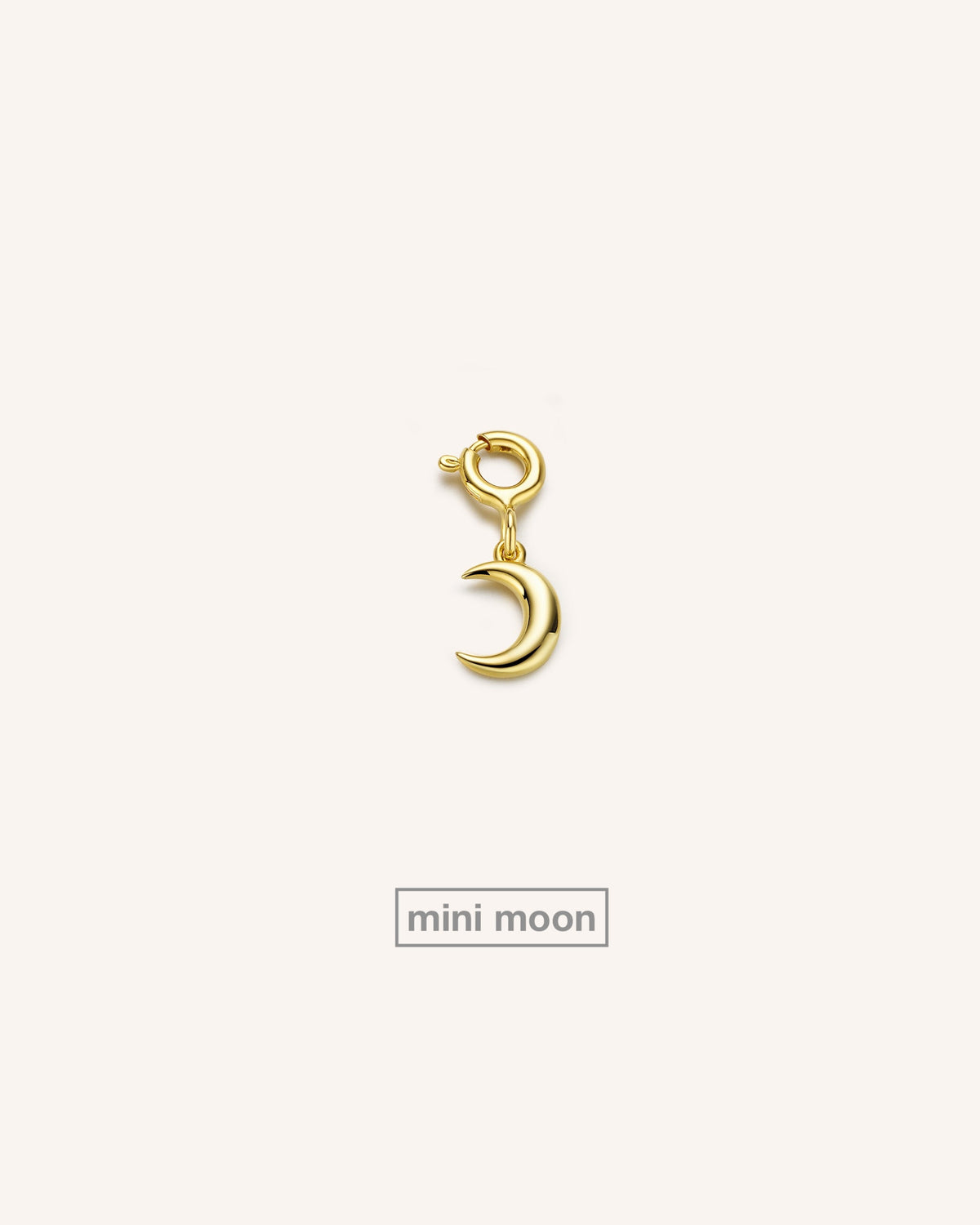 Bracelet Charms
