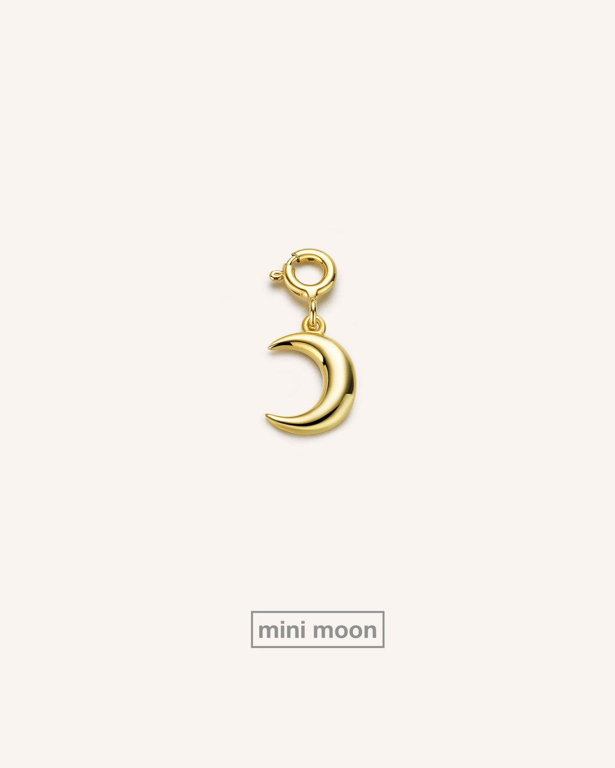 Necklace Charms