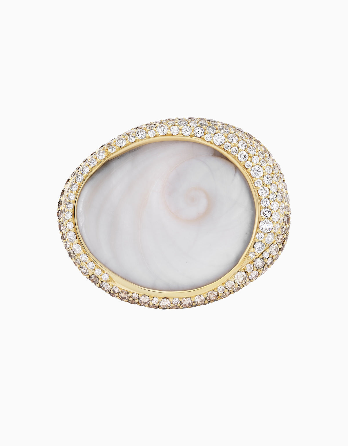 Spiral Shell Ring (One-of-a-Kind)