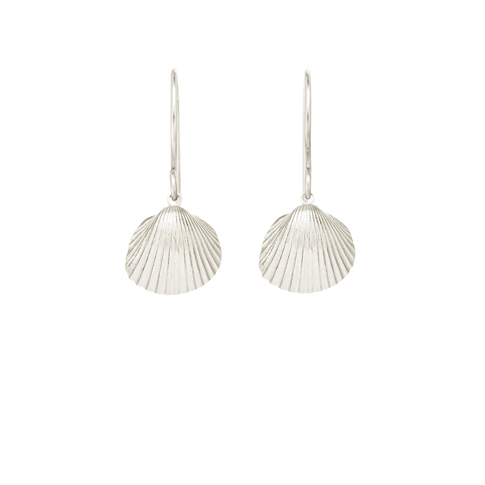 Small Sun Shell Earrings