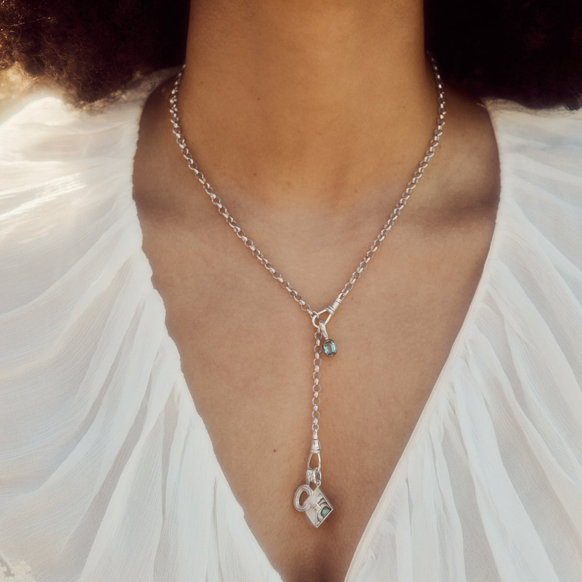 Albert Dog Clip Extender Chain