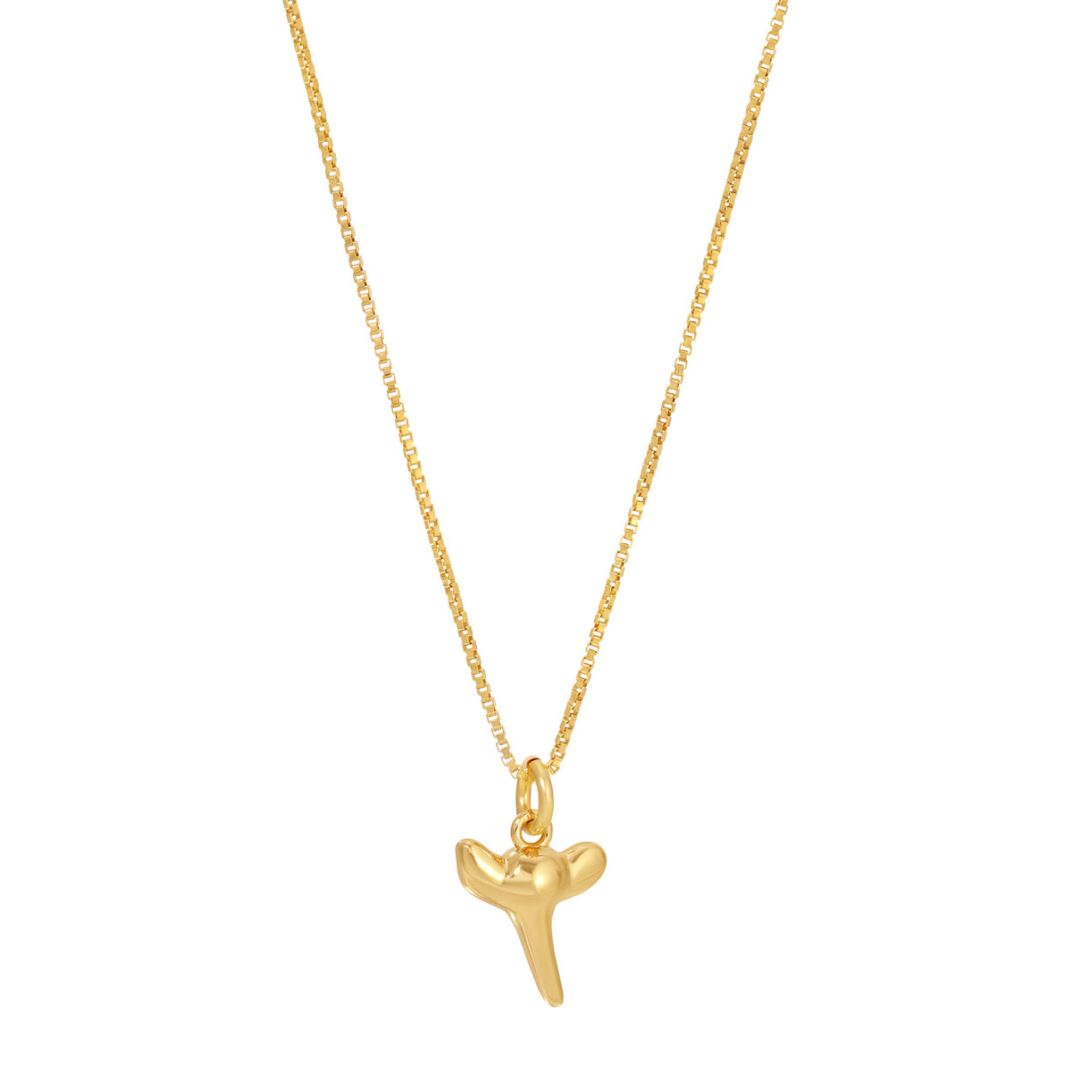 Shark Tooth Charm Necklace