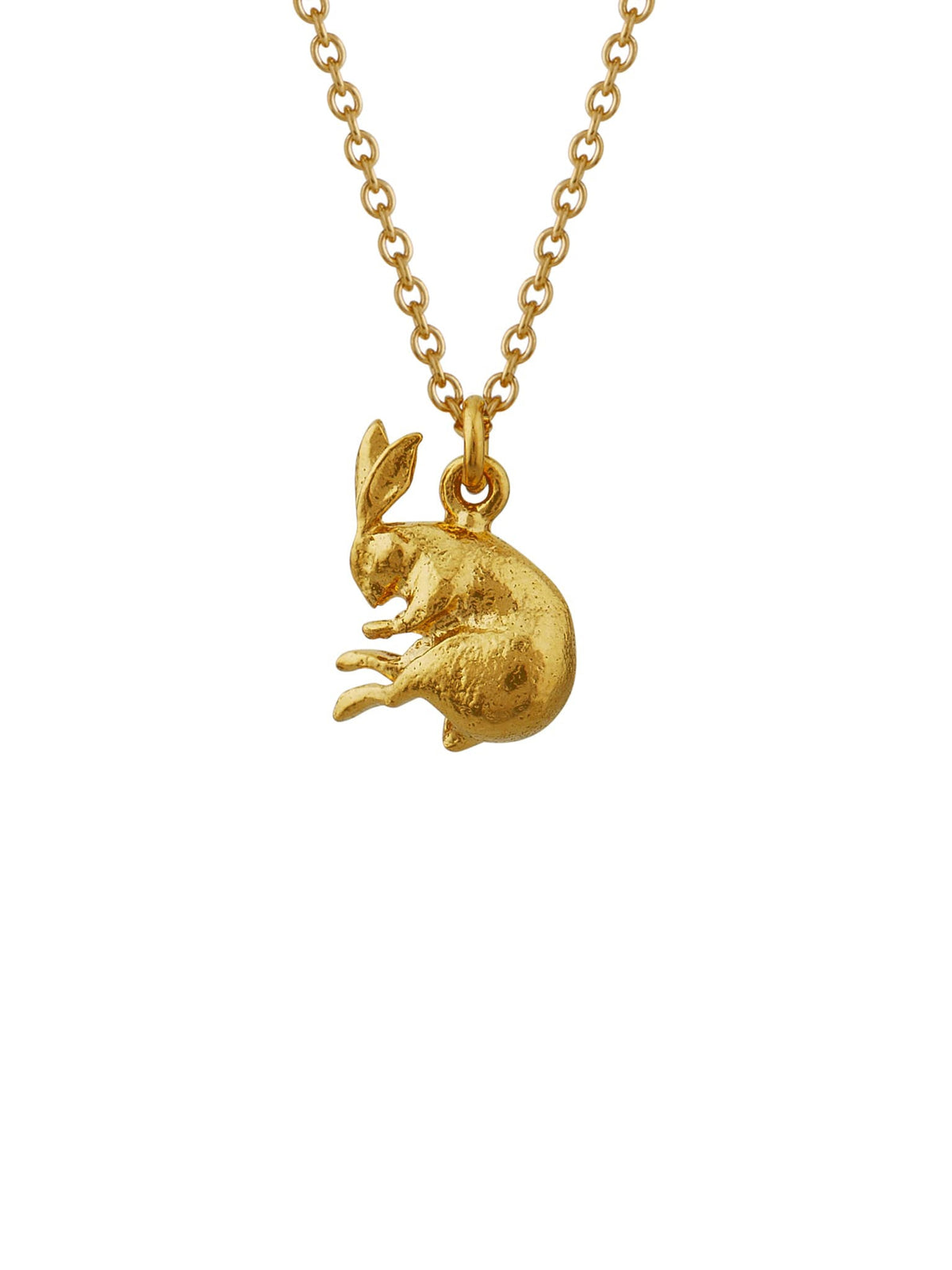 Sleeping Hare Necklace
