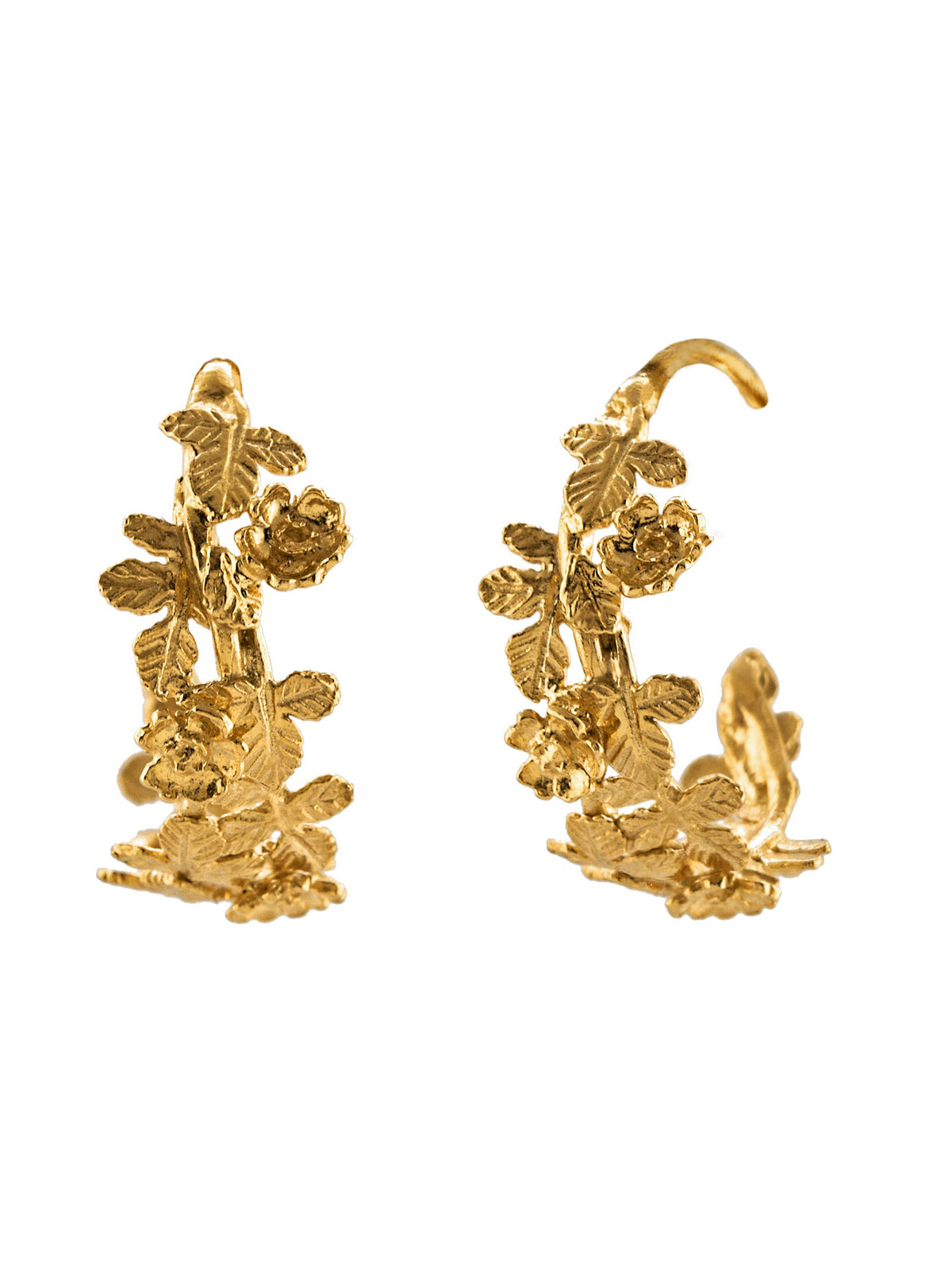 Wildrose Wide Hoop Earrings