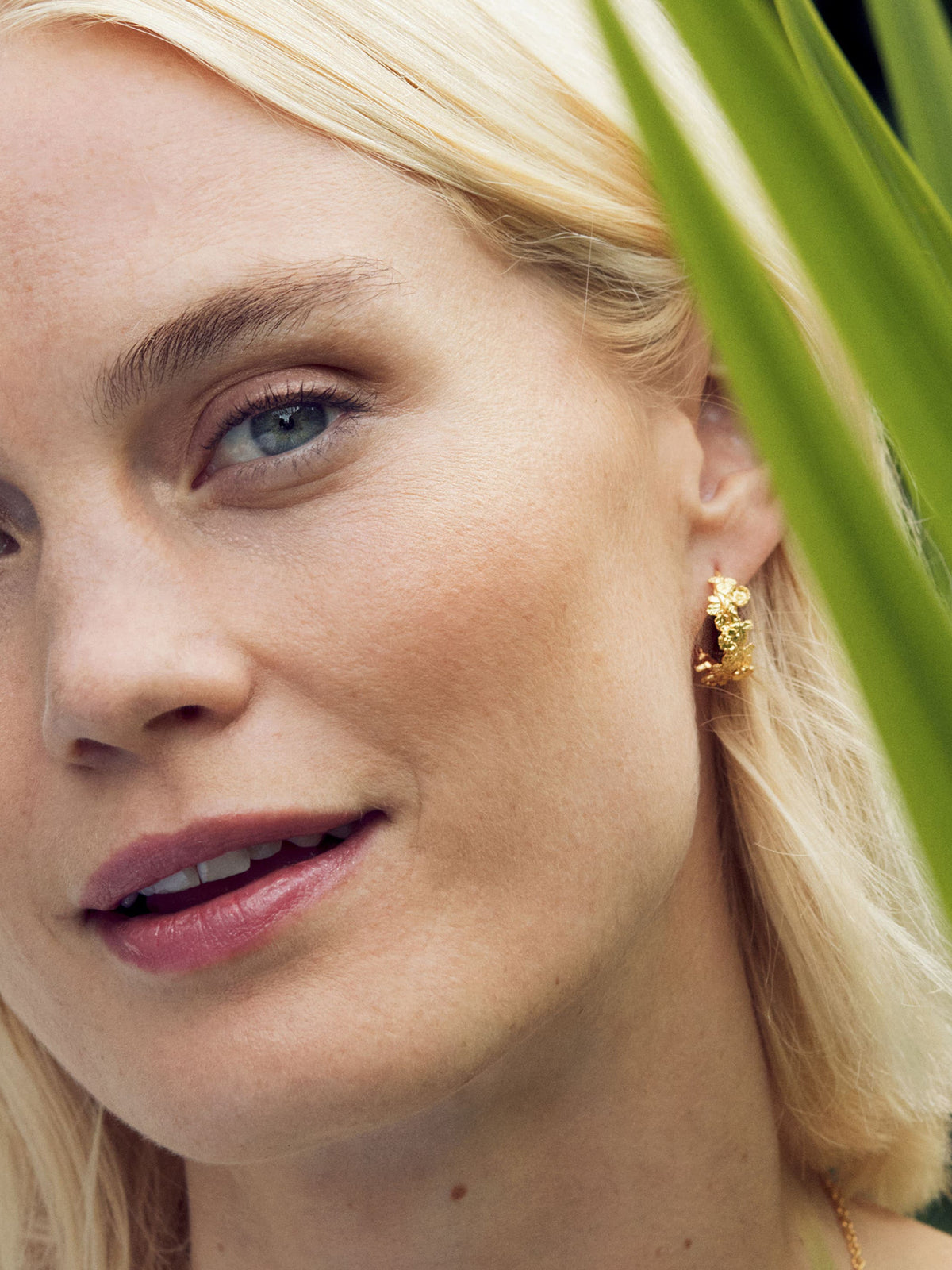 Wildrose Wide Hoop Earrings