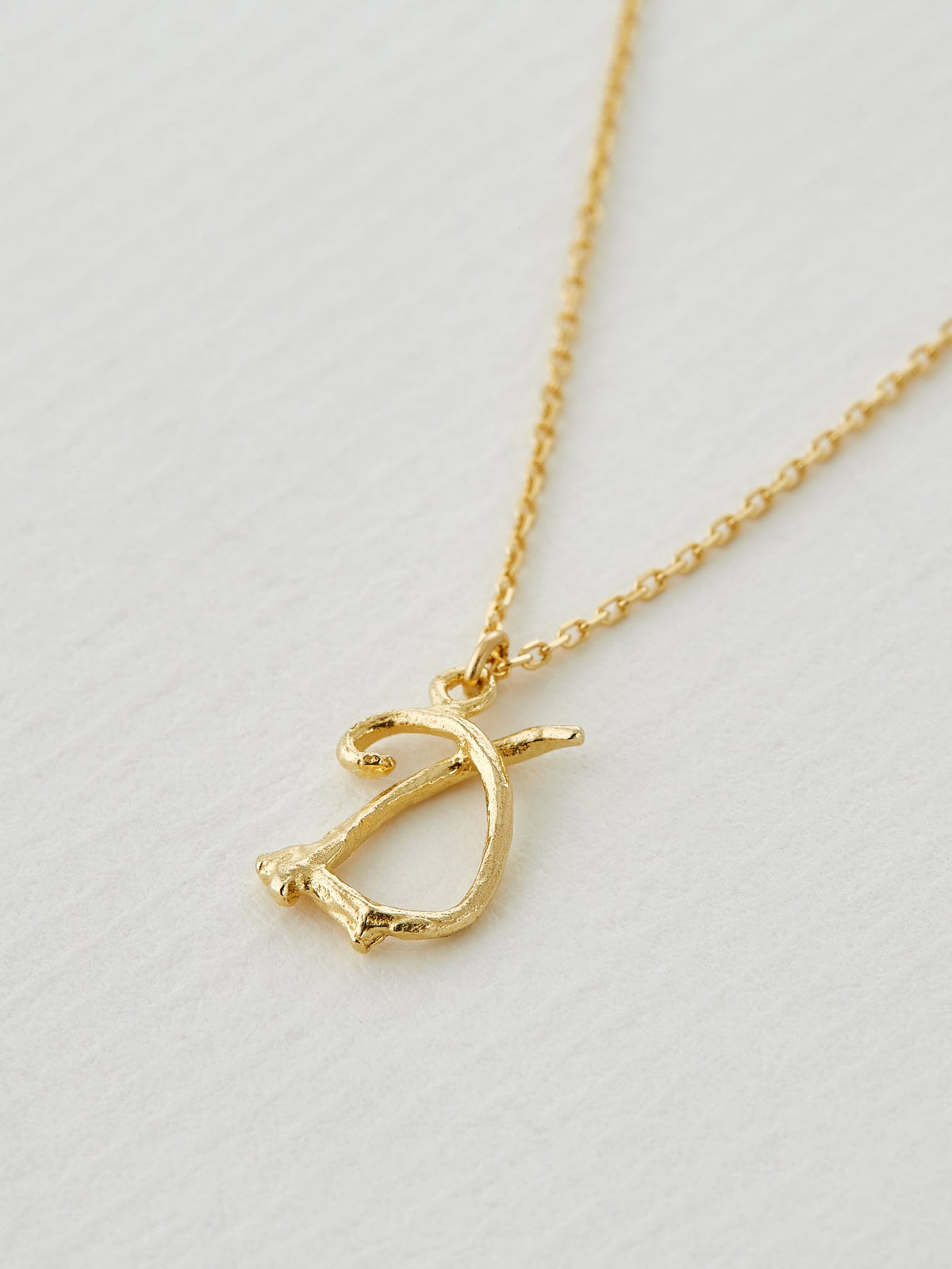 Enchanted Twig Alphabet - Letter D