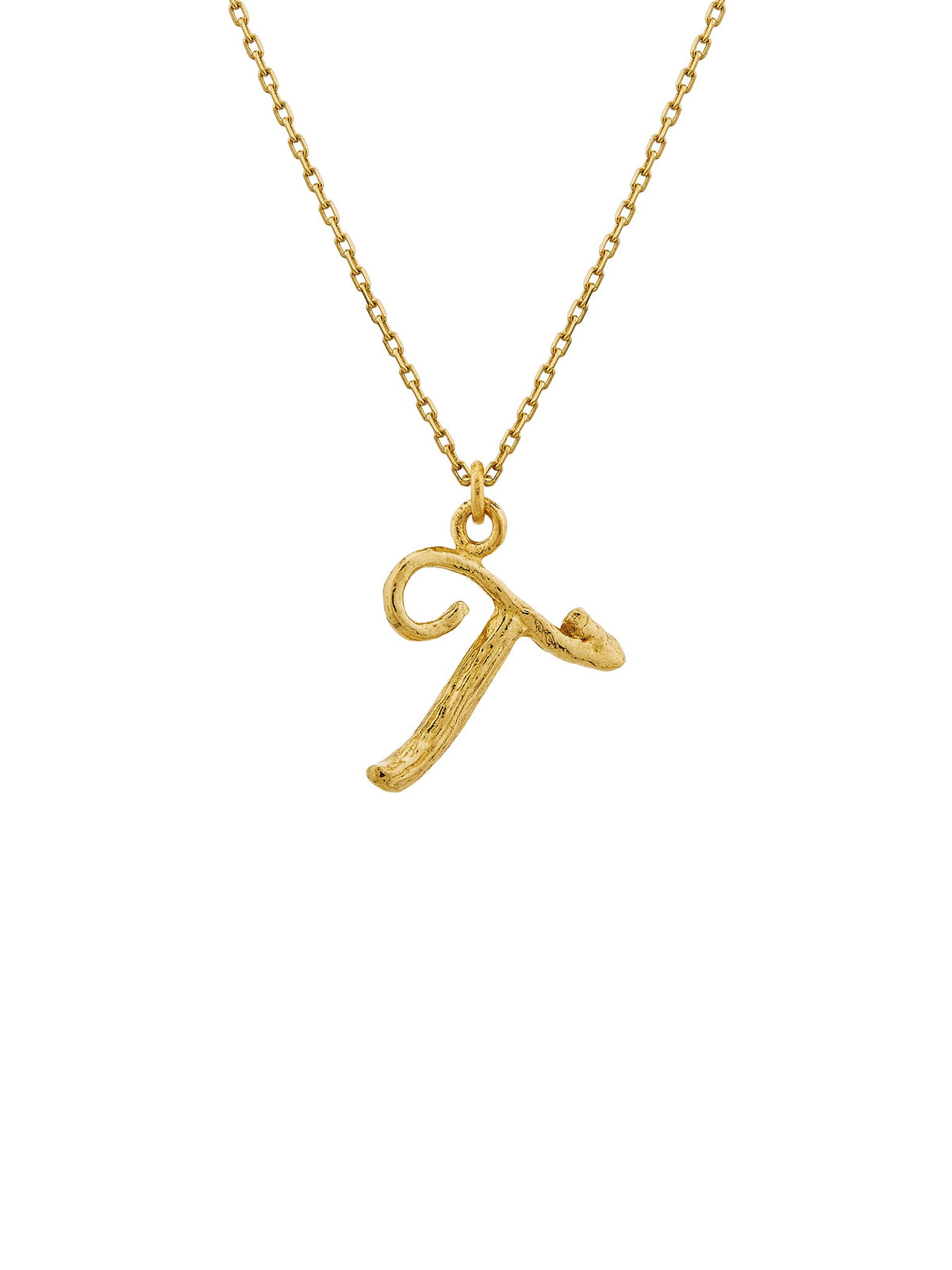 Enchanted Twig Alphabet - Letter T