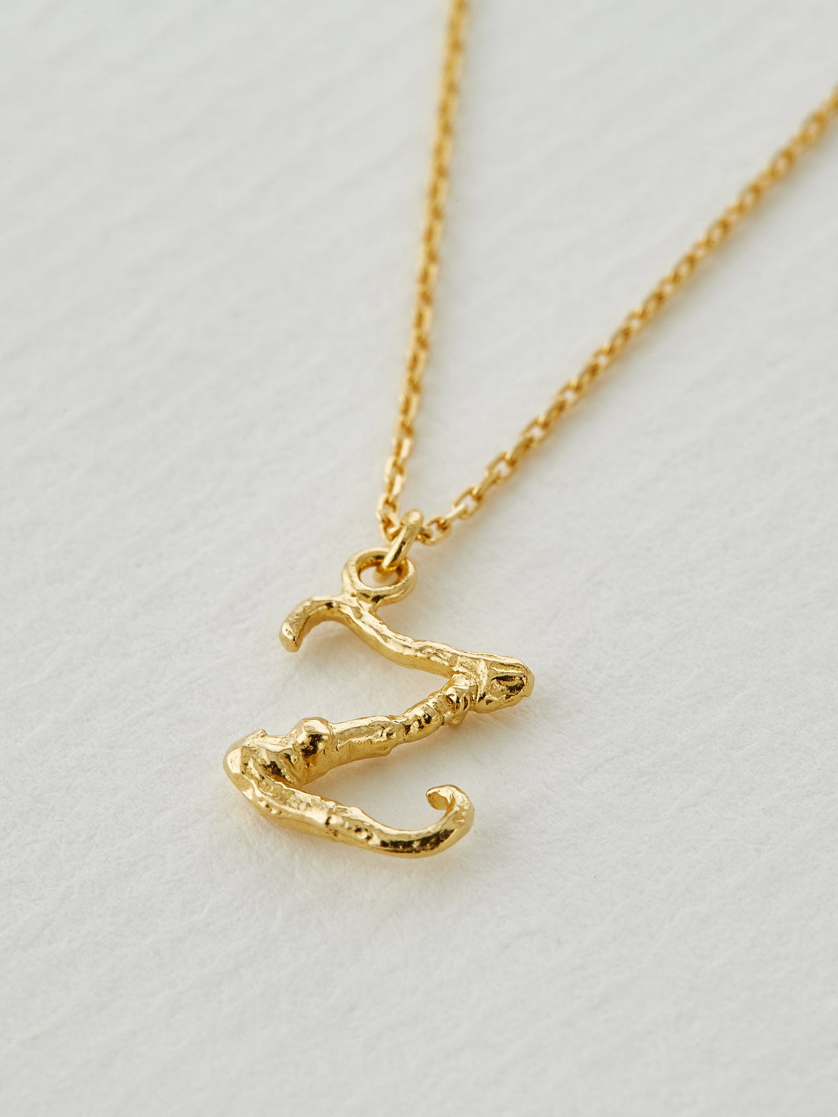 Enchanted Twig Alphabet - Letter Z